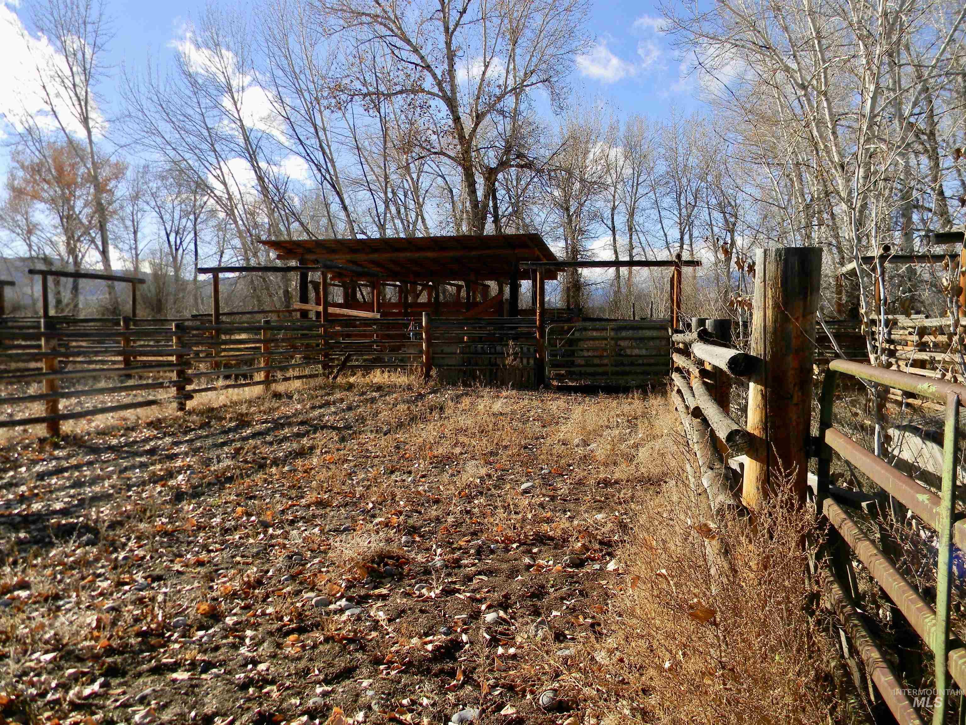 View of yard featuring an outdoor structure
