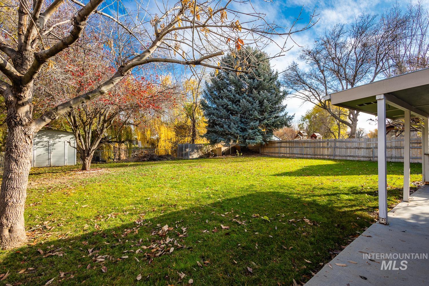 View of fenced backyard