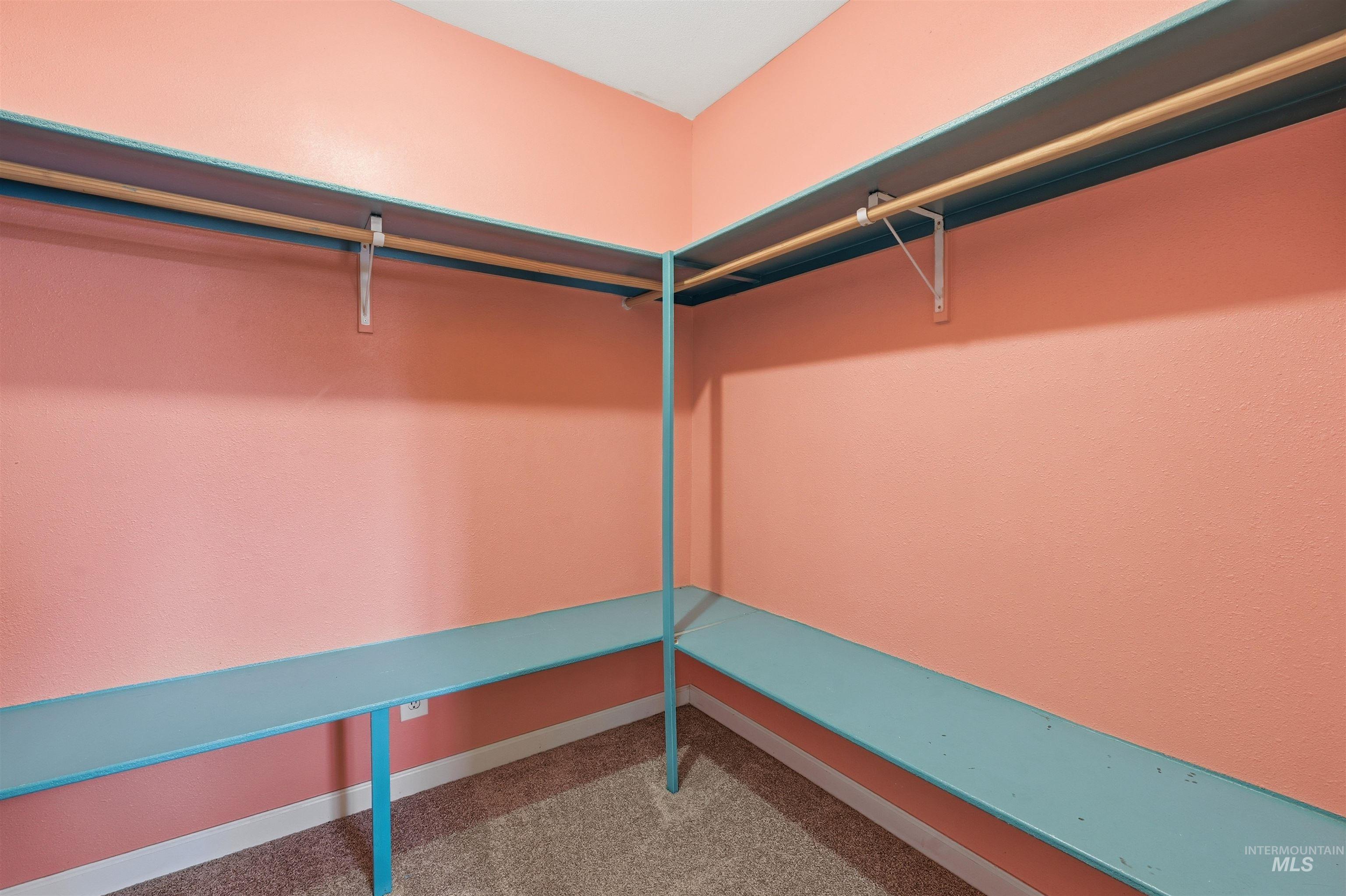 Walk in closet featuring light colored carpet