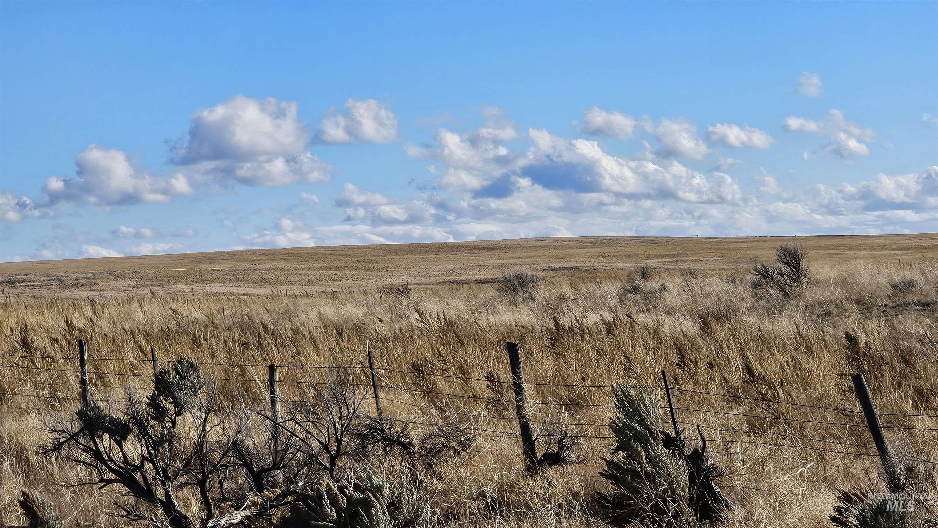 TBD TBD, Carey, Idaho 83320, Farm & Ranch For Sale, Price $400,000,MLS 98968571