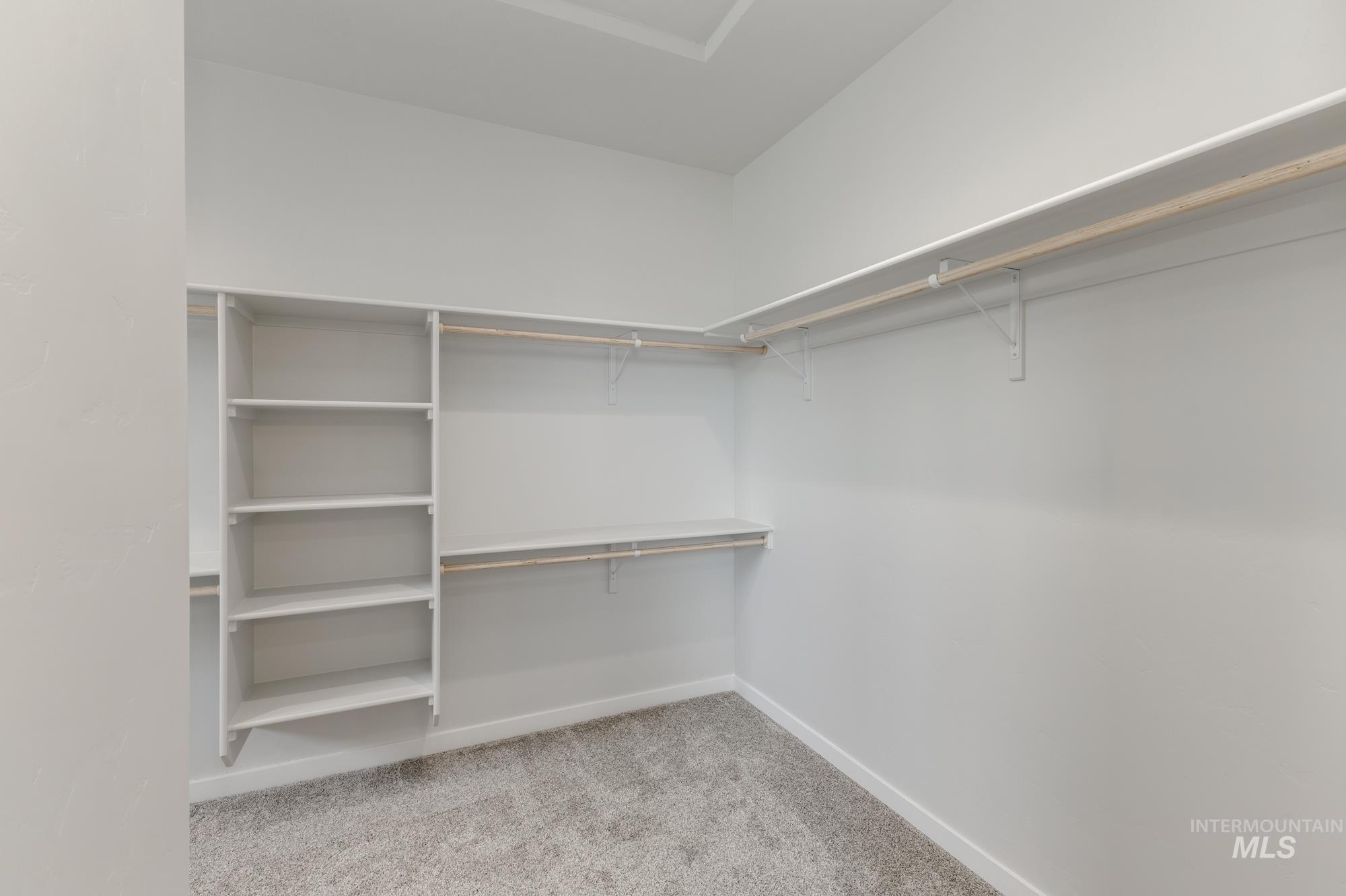 Walk in closet with light colored carpet