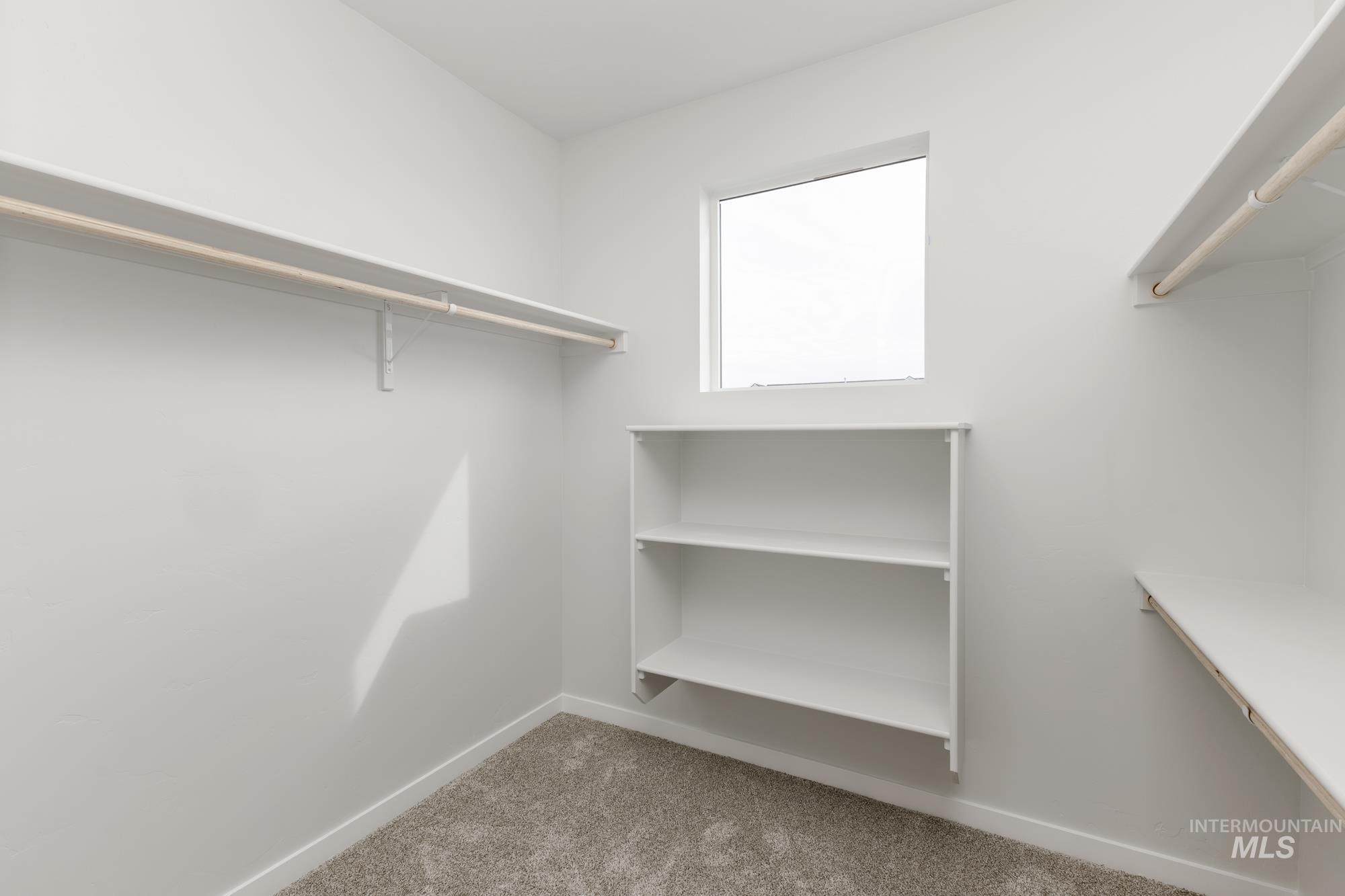 Walk in closet featuring light colored carpet