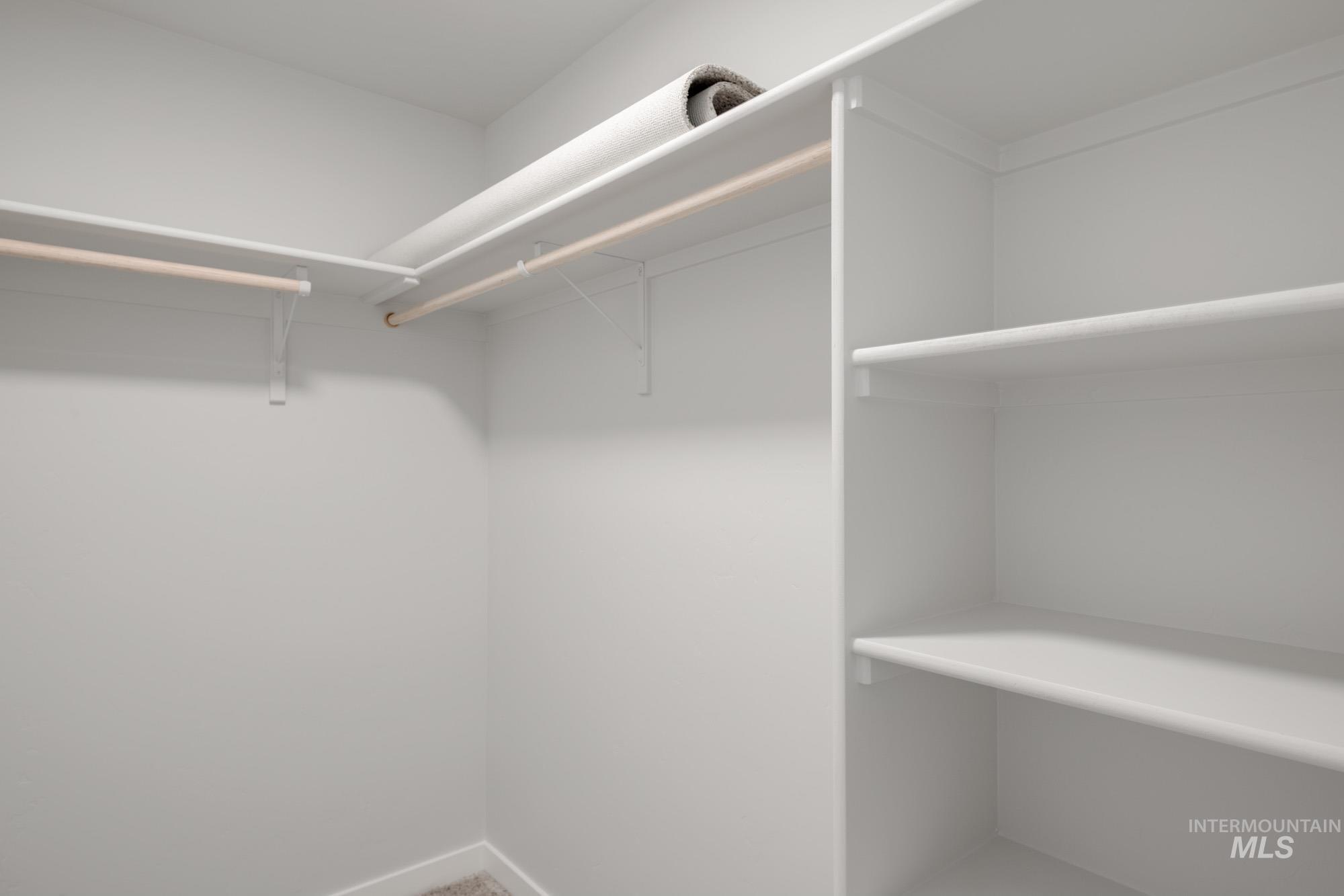 Walk in closet with carpet flooring