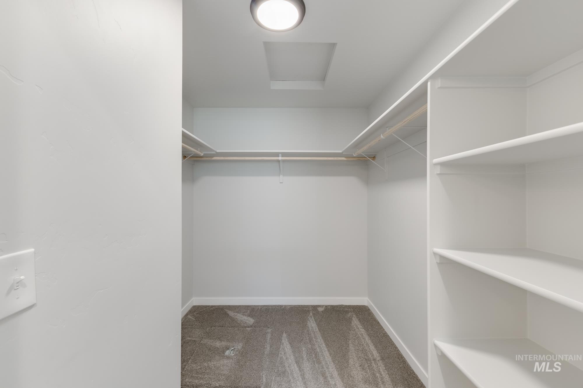 Spacious closet featuring light colored carpet