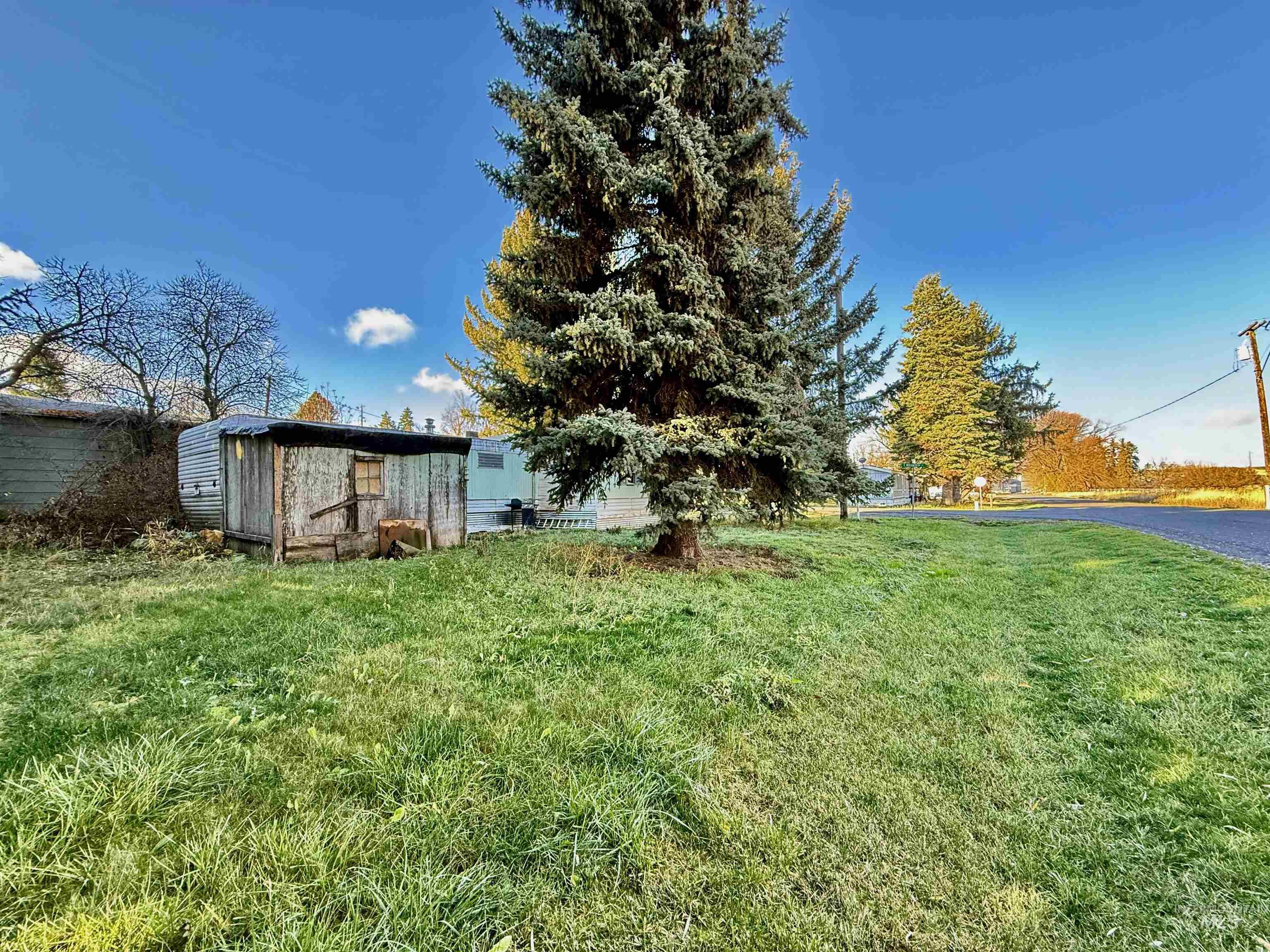 View of green lawn featuring a shed