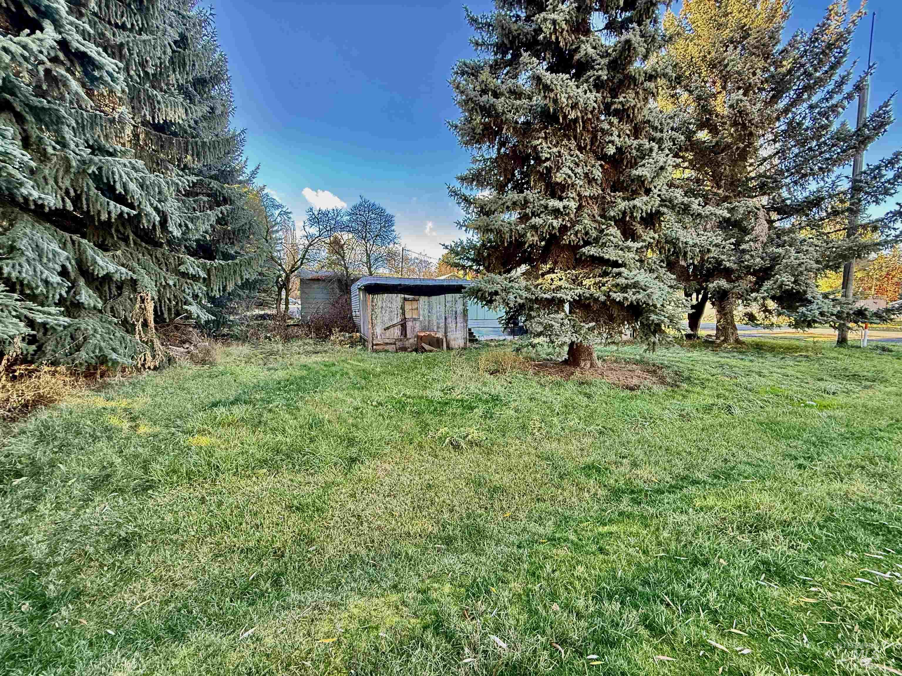 View of green lawn featuring an outbuilding