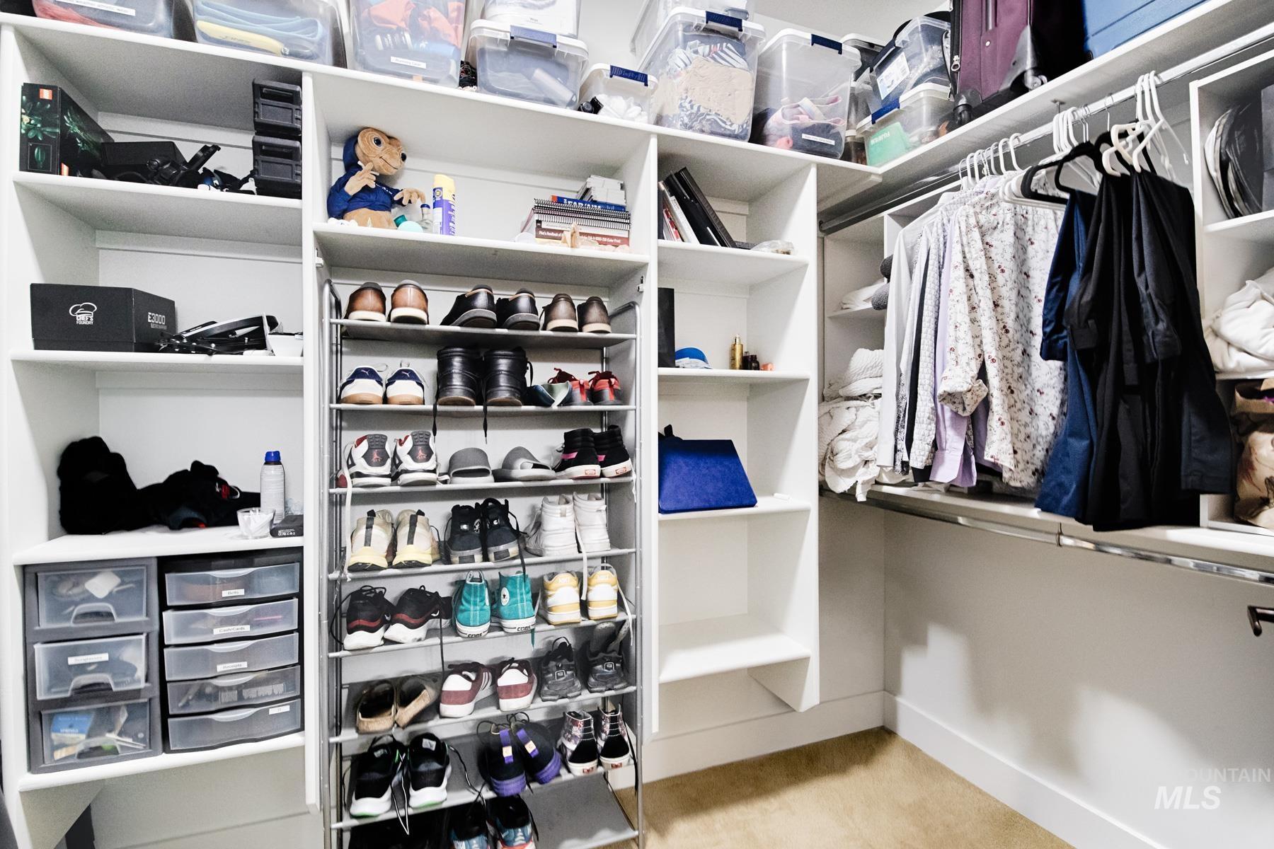 Walk in closet featuring light carpet
