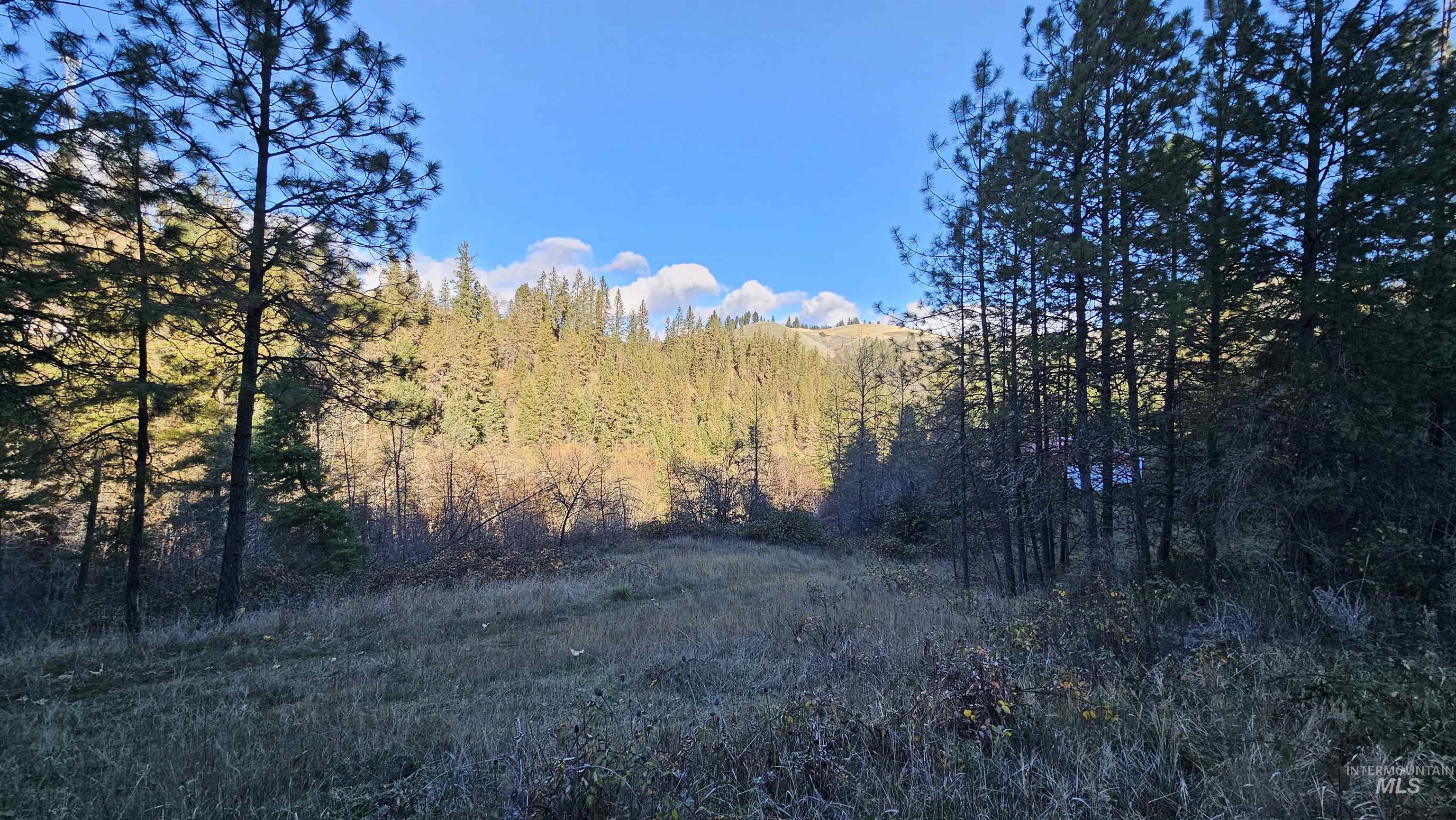 22100 Old Melrose Grade, Peck, Idaho 83545, Land For Sale, Price $285,000, 98968597