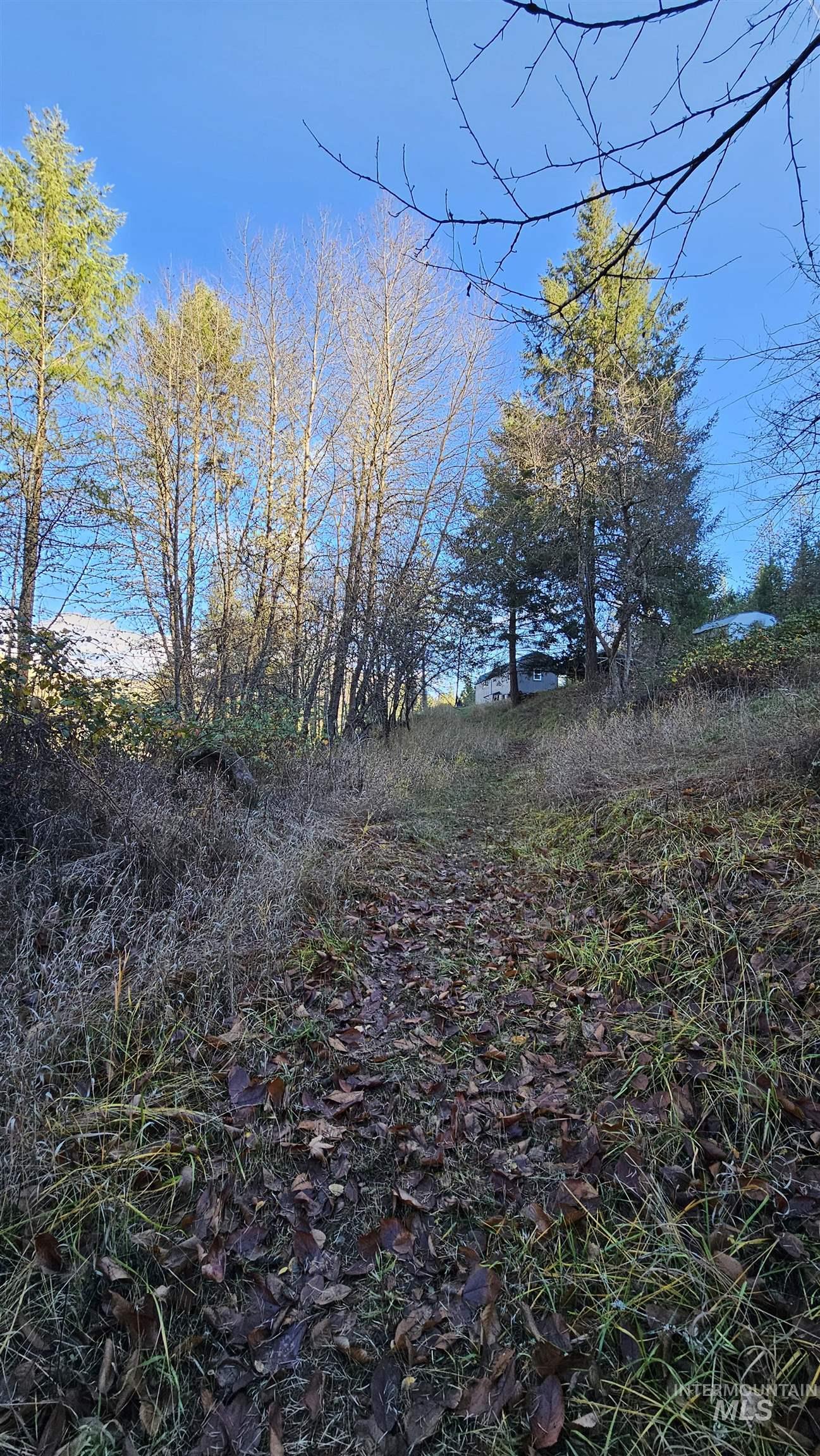 22100 Old Melrose Grade, Peck, Idaho 83545, Land For Sale, Price $285,000, 98968597