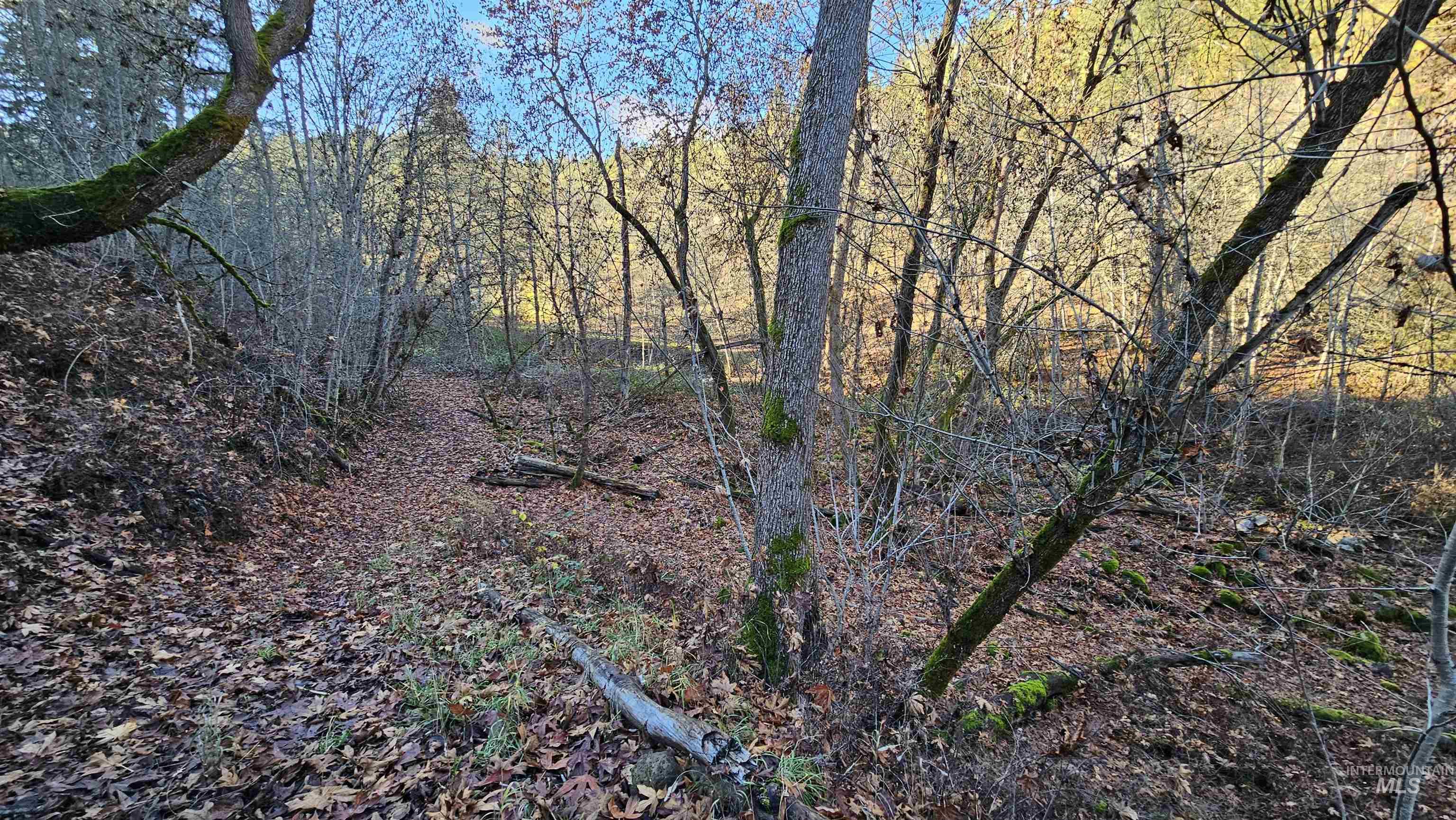 22100 Old Melrose Grade, Peck, Idaho 83545, Land For Sale, Price $285,000, 98968597