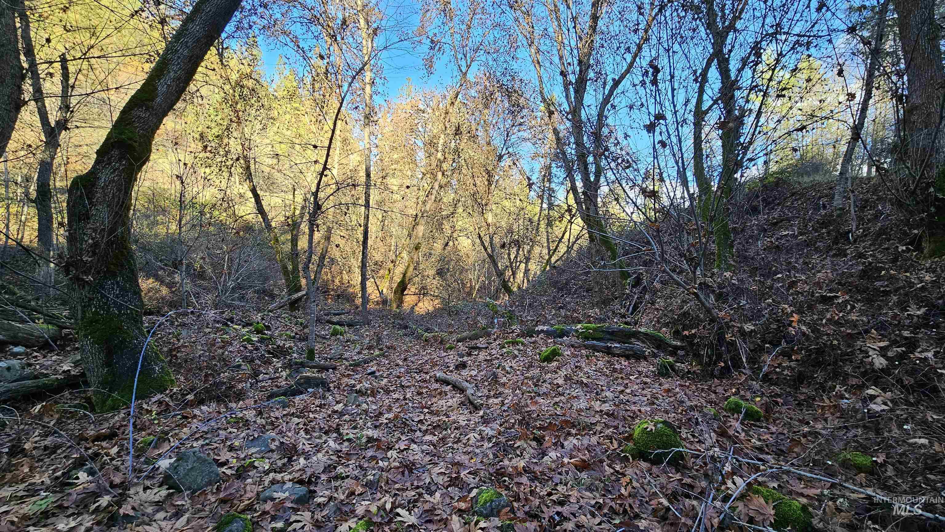 22100 Old Melrose Grade, Peck, Idaho 83545, Land For Sale, Price $285,000, 98968597