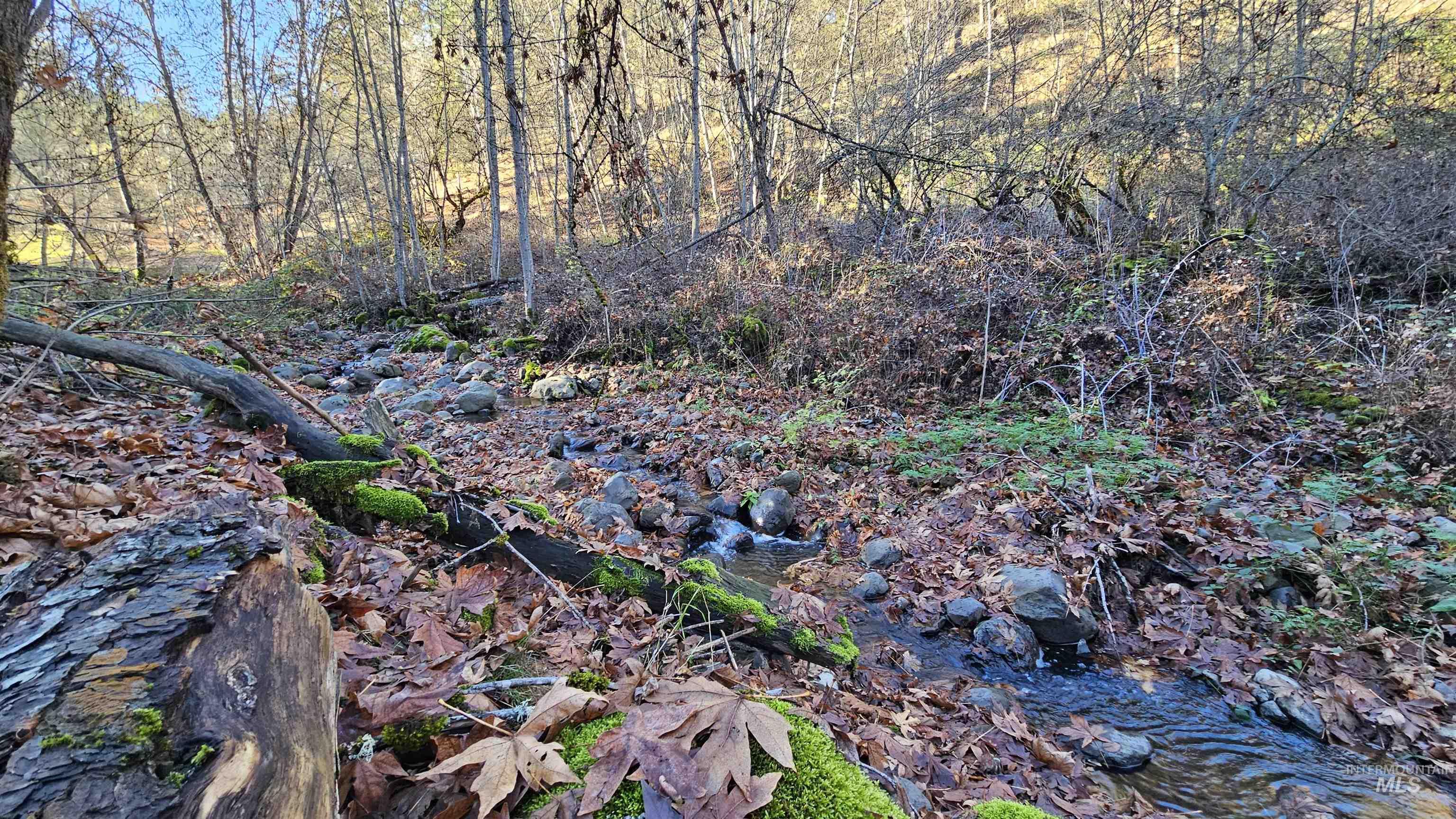 22100 Old Melrose Grade, Peck, Idaho 83545, Land For Sale, Price $285,000, 98968597