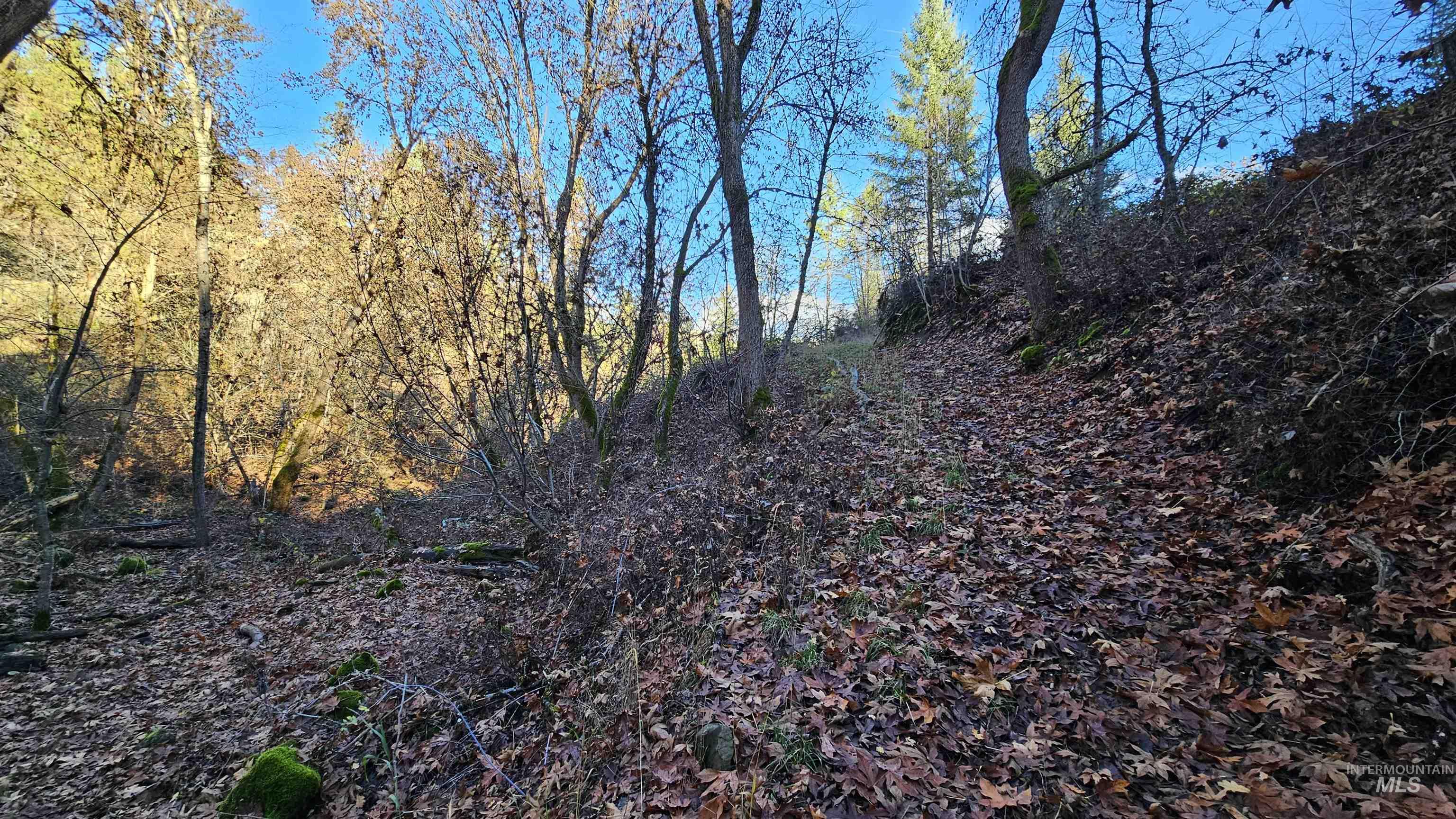 22100 Old Melrose Grade, Peck, Idaho 83545, Land For Sale, Price $285,000, 98968597