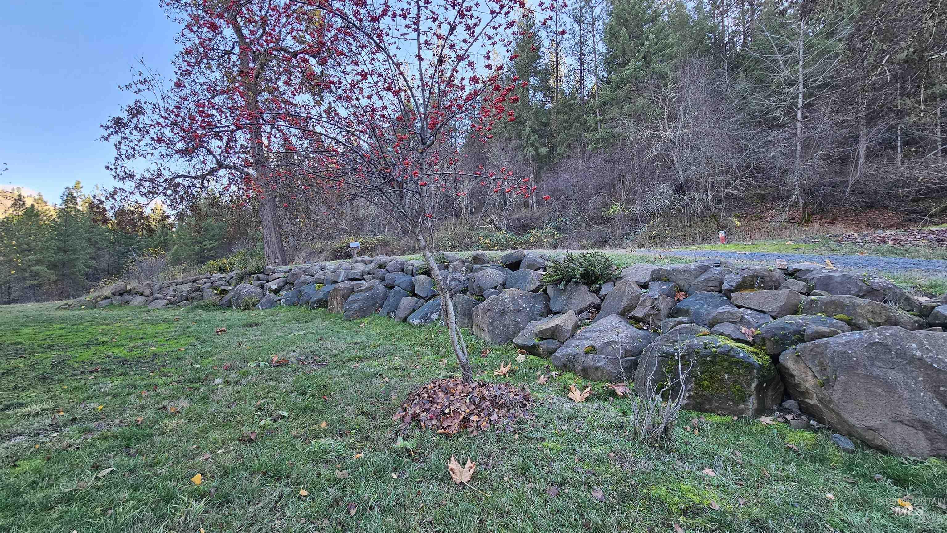 22100 Old Melrose Grade, Peck, Idaho 83545, Land For Sale, Price $285,000, 98968597