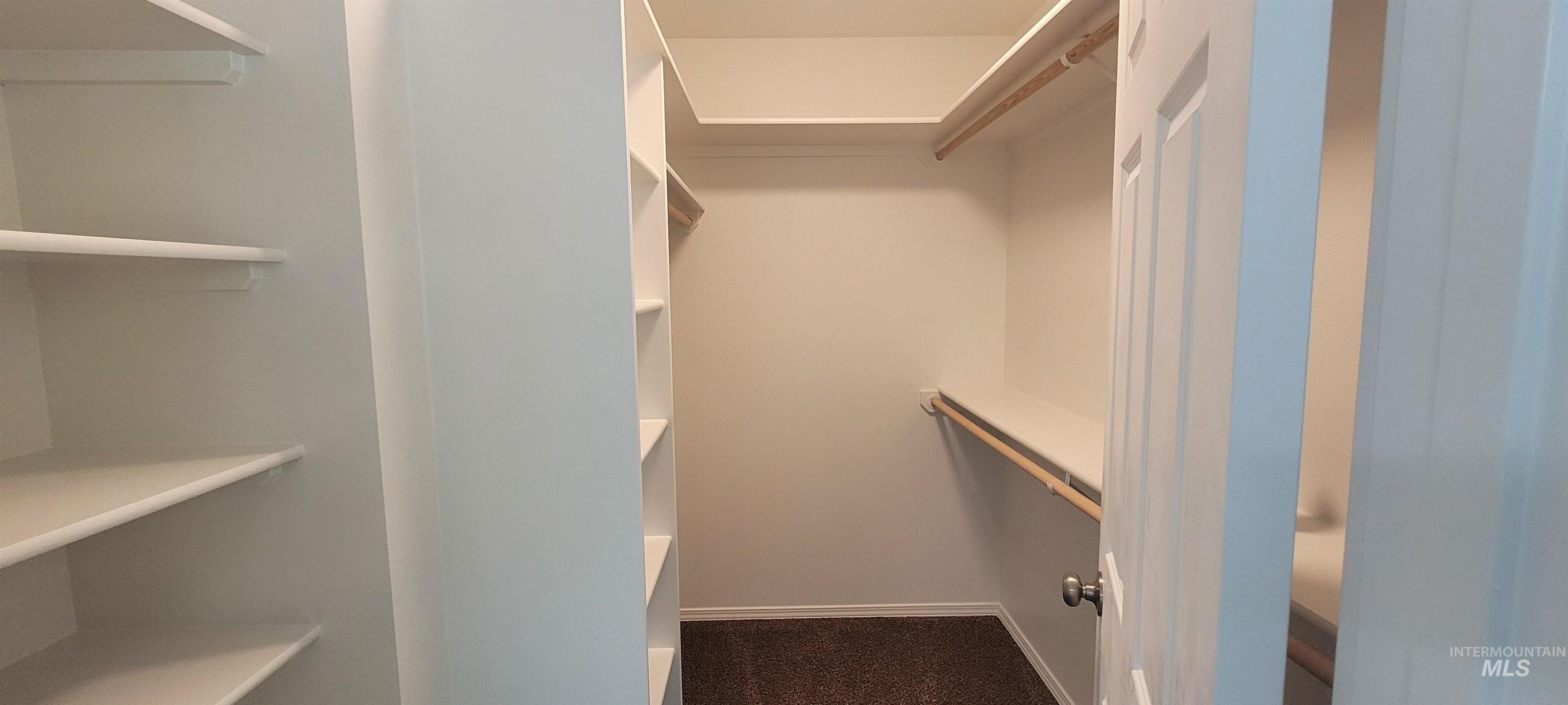 Walk in closet featuring dark colored carpet
