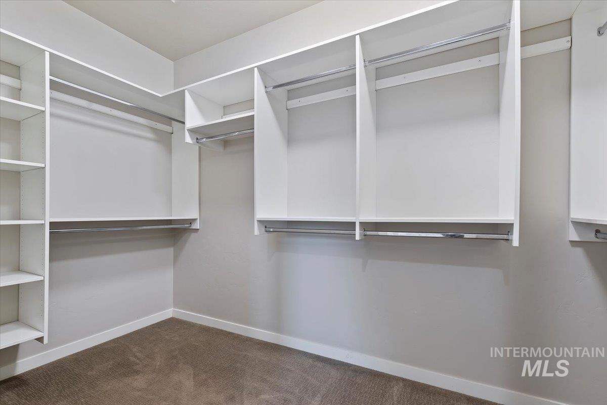 Spacious closet featuring dark carpet