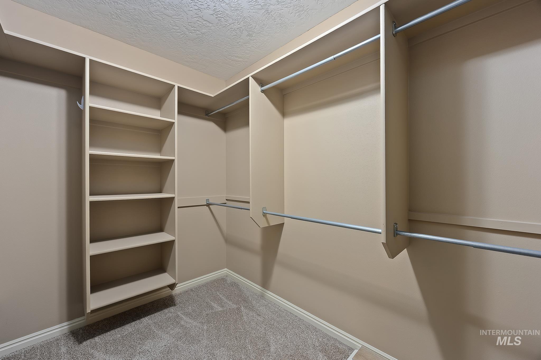 Walk in closet featuring light colored carpet