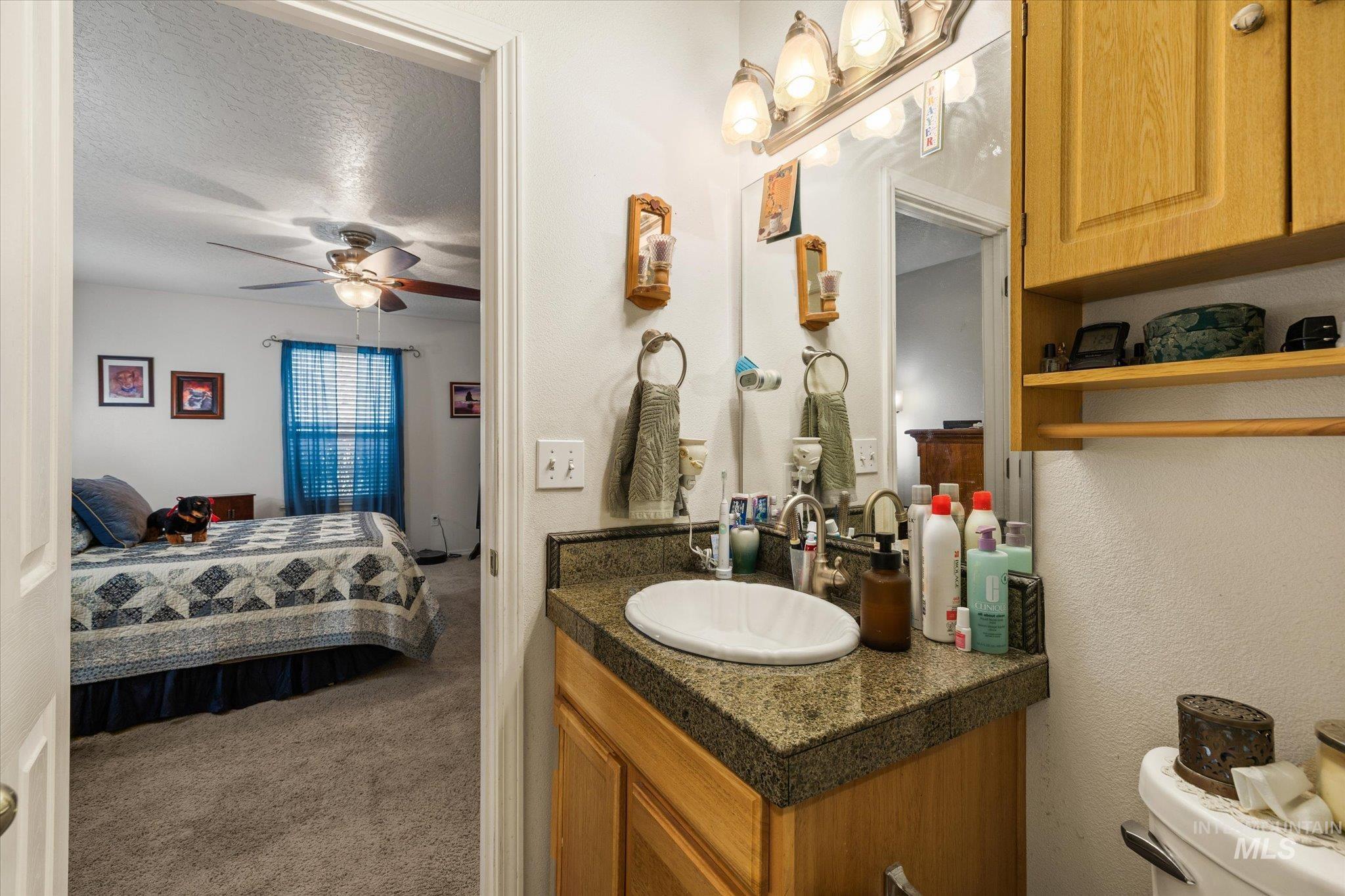 Bathroom featuring connected bathroom, vanity, dark colored carpet, a textured ceiling, and ceiling fan