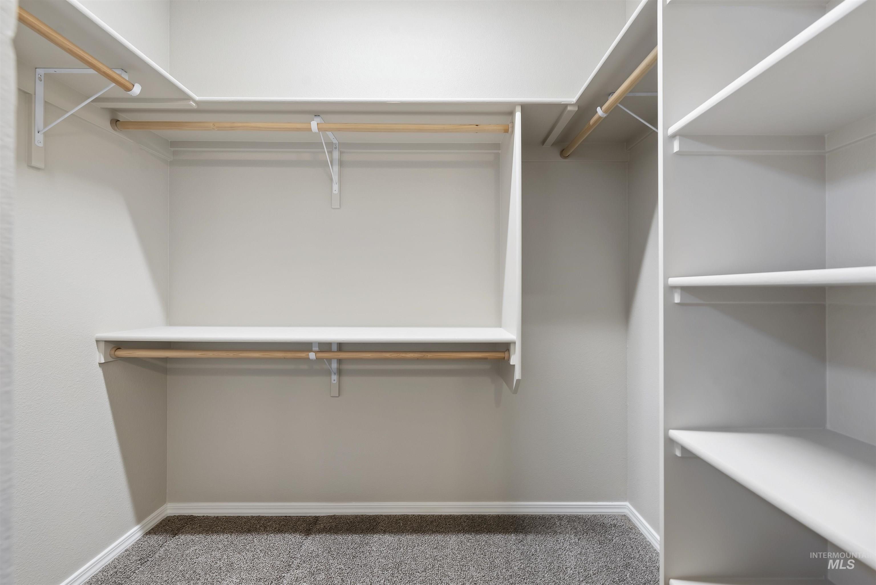 Walk in closet featuring carpet flooring