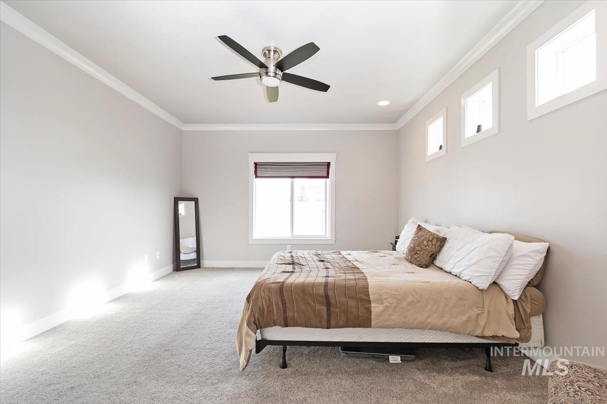 Carpeted bedroom with crown molding and ceiling fan