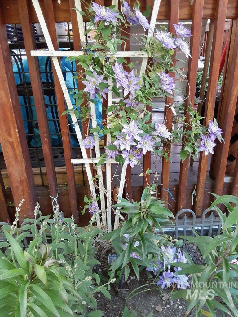 1410 N 20th Street, Boise, Idaho 83702, 3 Bedrooms, 1.5 Bathrooms, Residential For Sale, Price $735,000,MLS 98968694