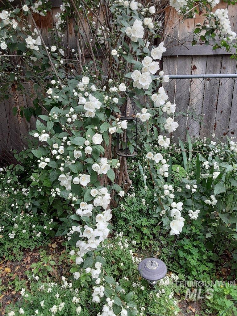 1410 N 20th Street, Boise, Idaho 83702, 3 Bedrooms, 1.5 Bathrooms, Residential For Sale, Price $735,000, 98968694