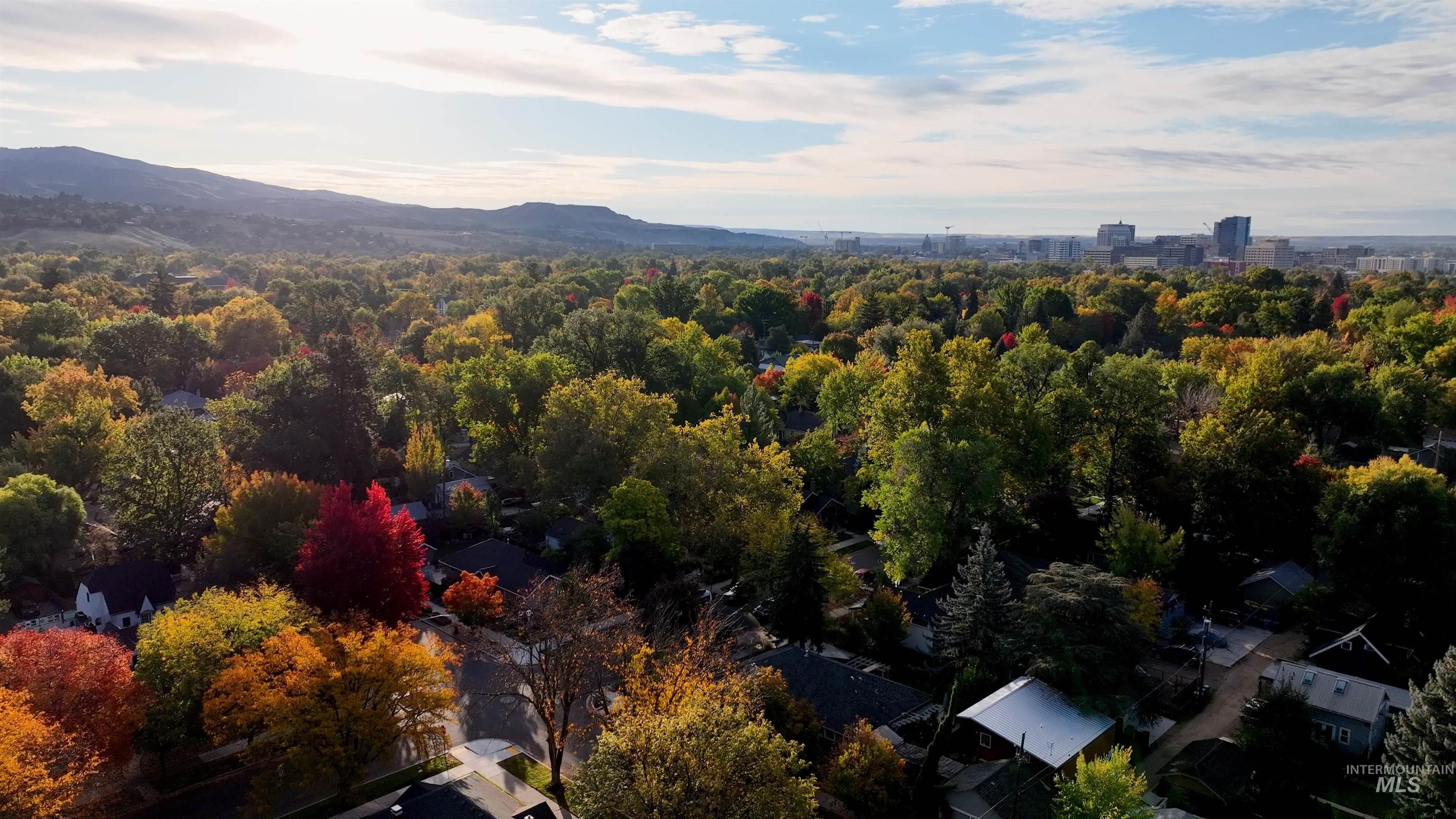 1410 N 20th Street, Boise, Idaho 83702, 3 Bedrooms, 1.5 Bathrooms, Residential For Sale, Price $735,000, 98968694