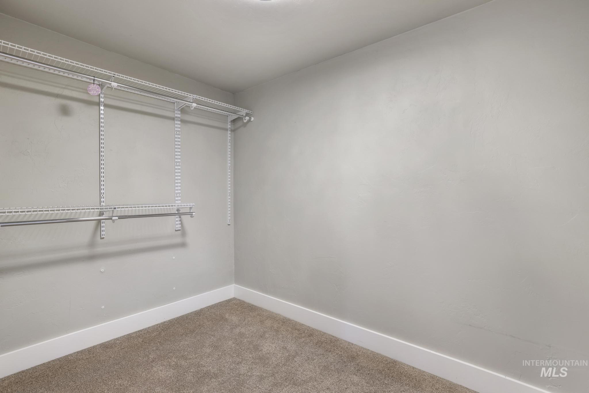 Spacious closet with carpet flooring