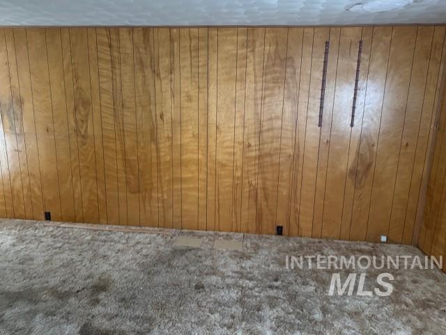 Carpeted spare room with wood walls