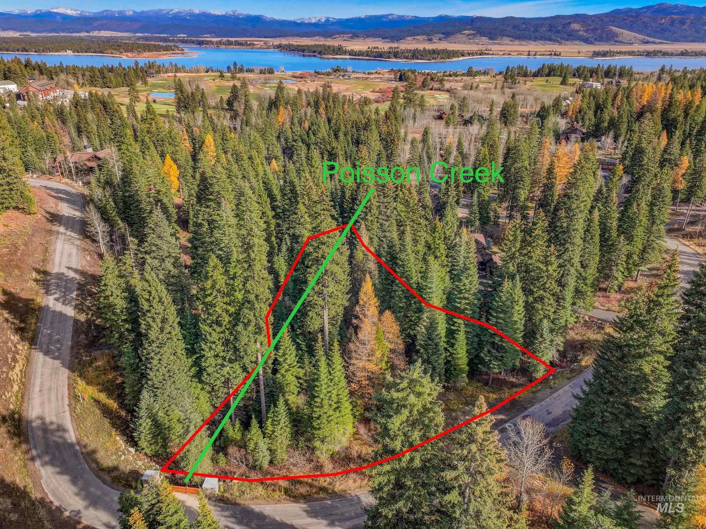 View of local wilderness