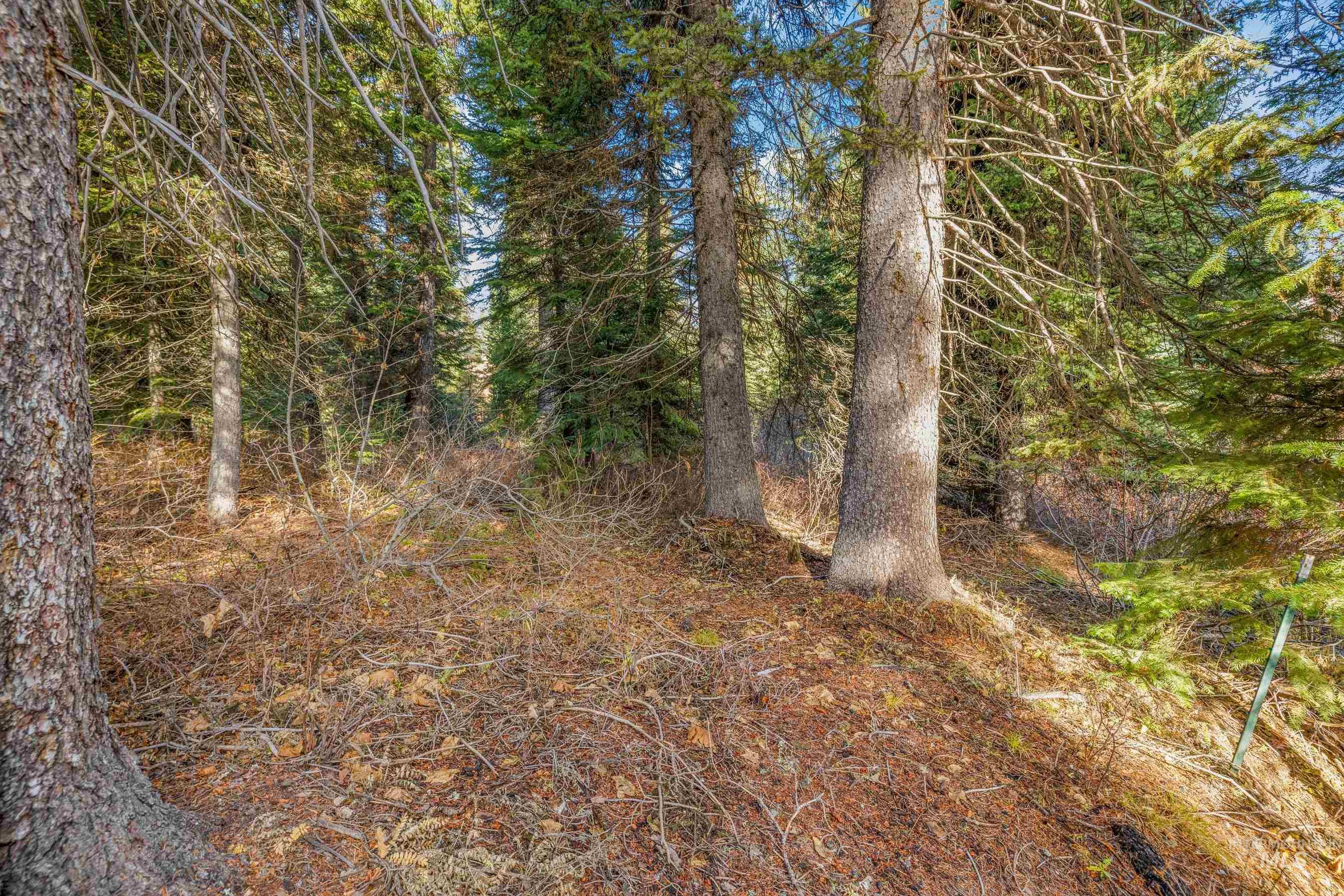 View of property location with property parcel outlined