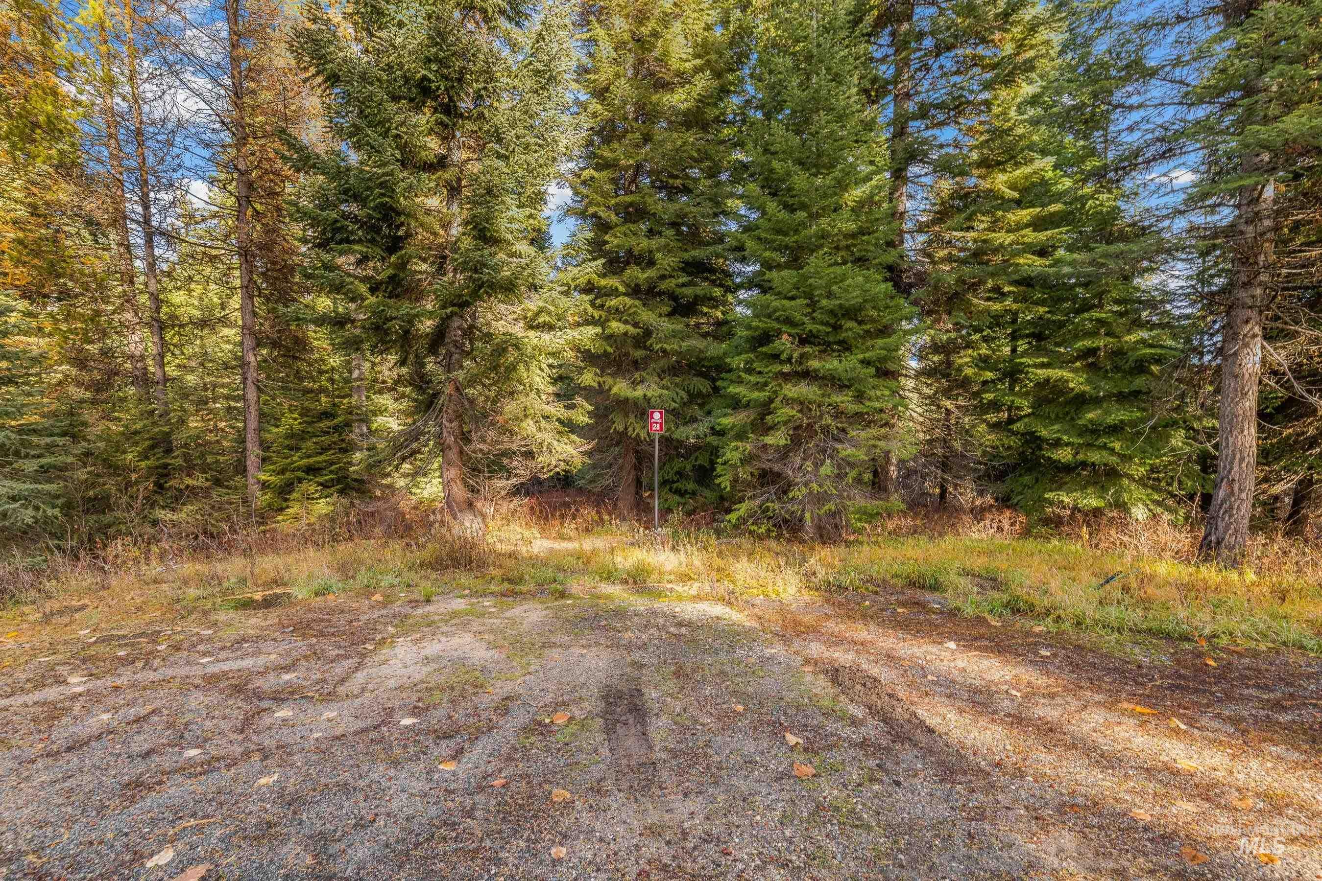 View of road with a view of trees
