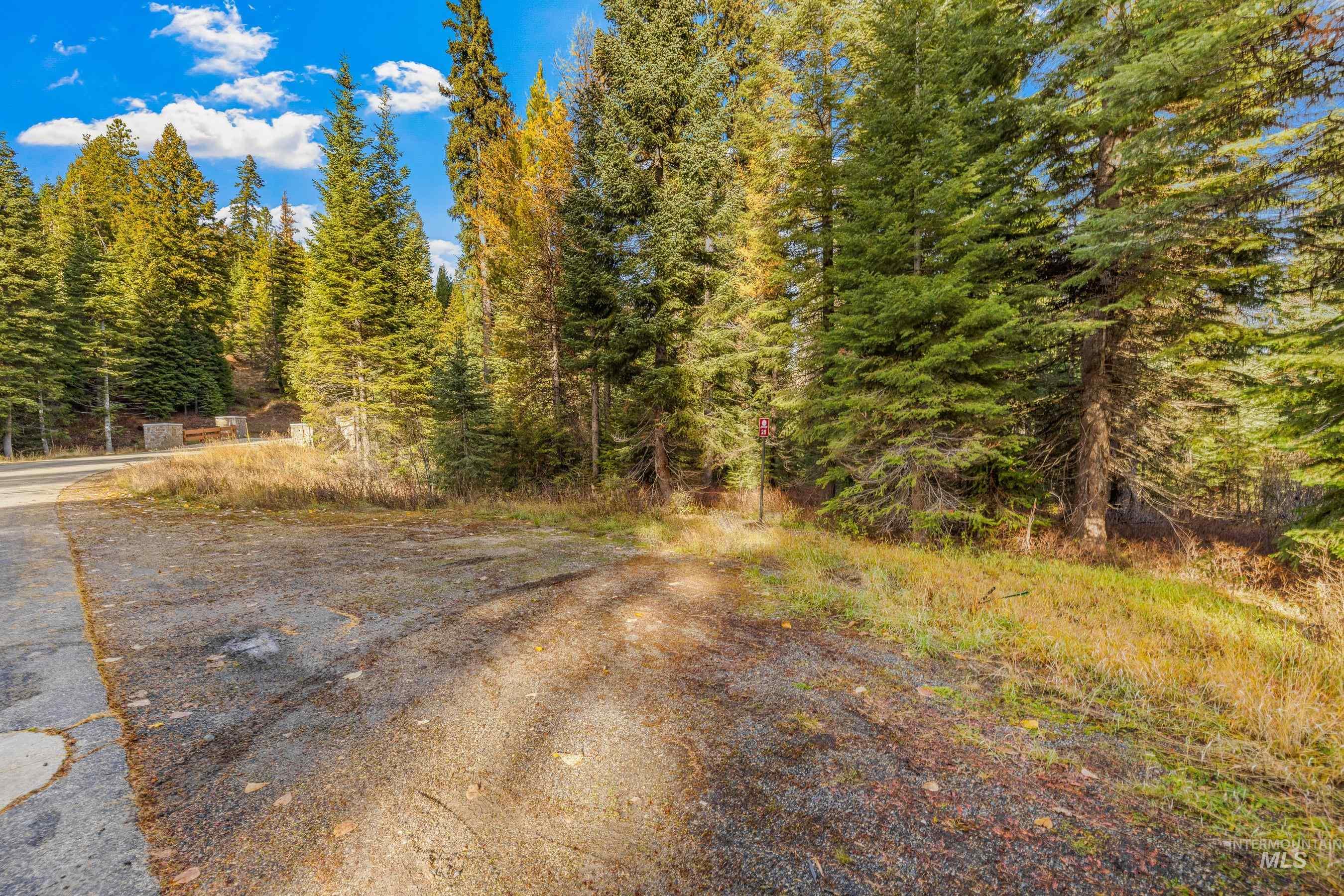 View of road with a forest view