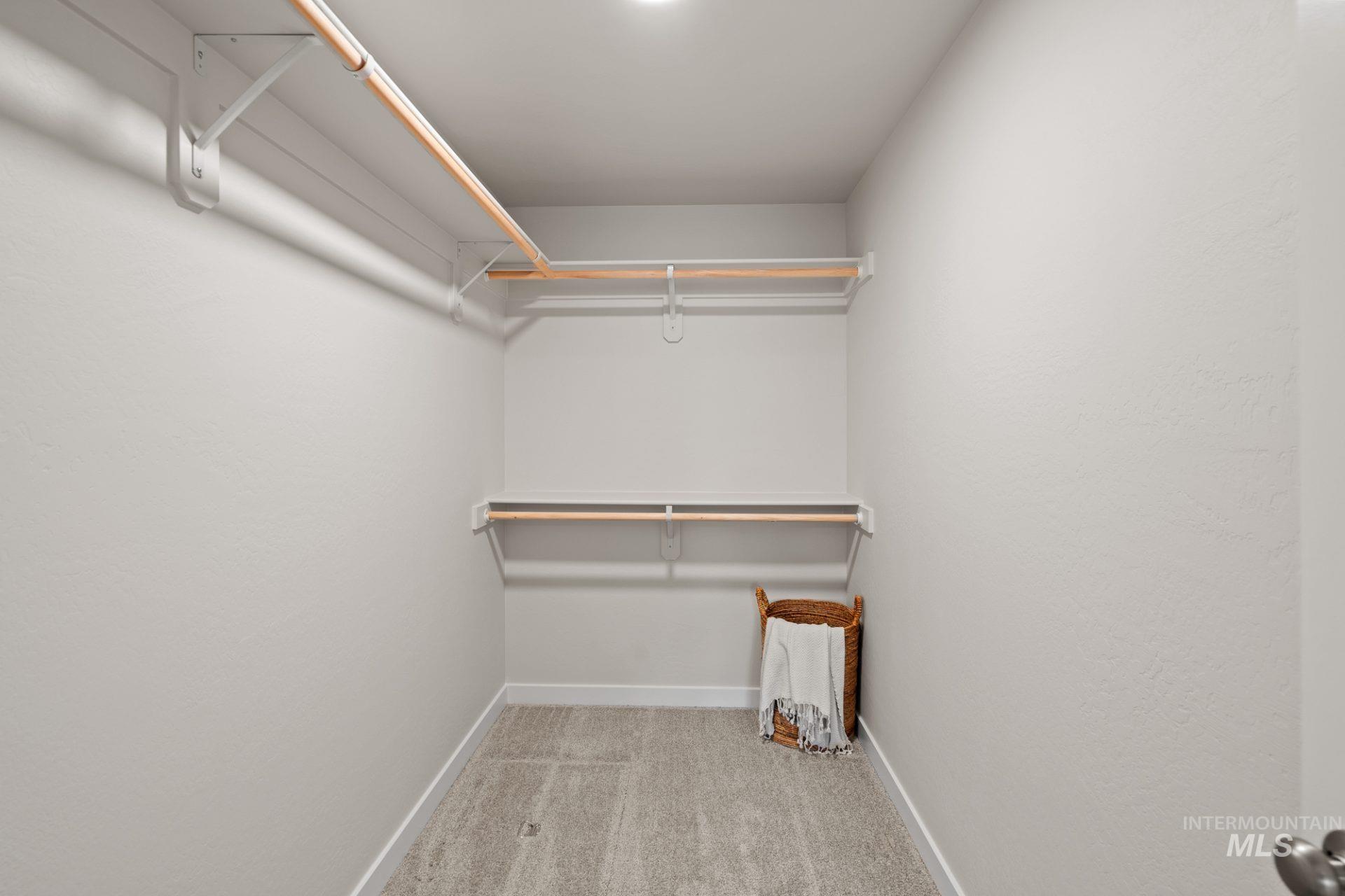 Spacious closet featuring carpet flooring