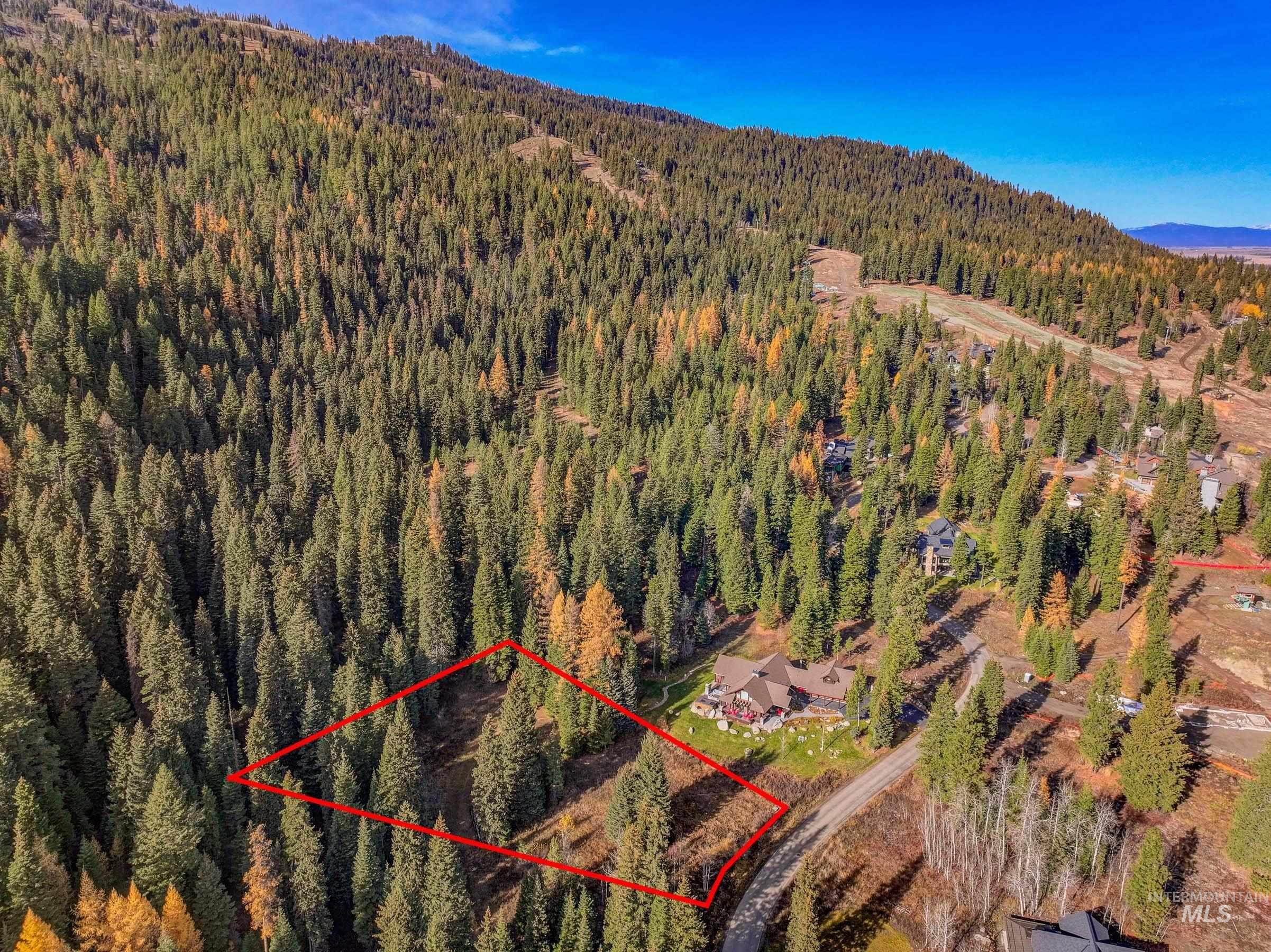 View of property location featuring property boundaries highlighted and a forest