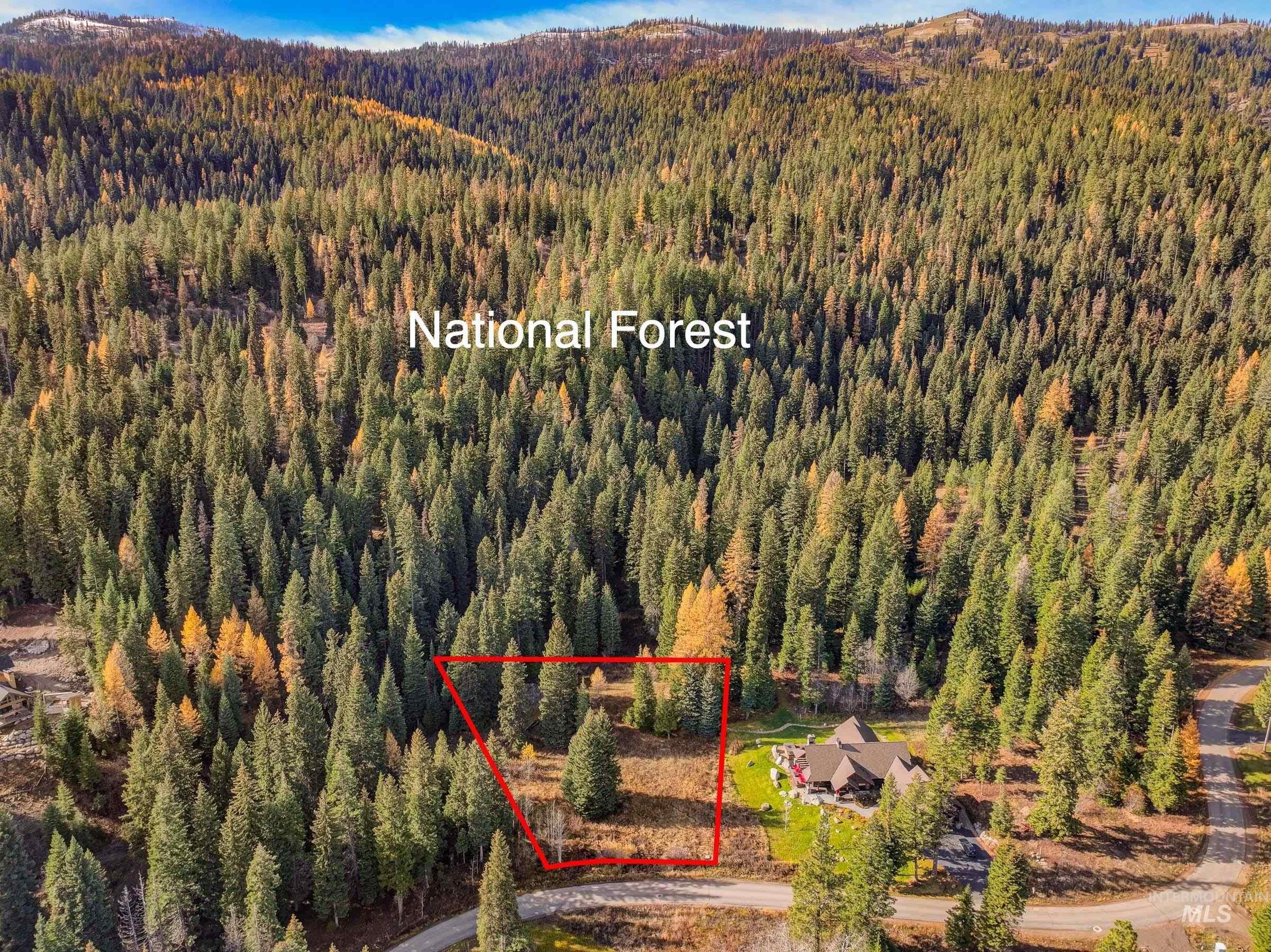 Aerial view of property's location featuring property boundaries highlighted and a heavily wooded area