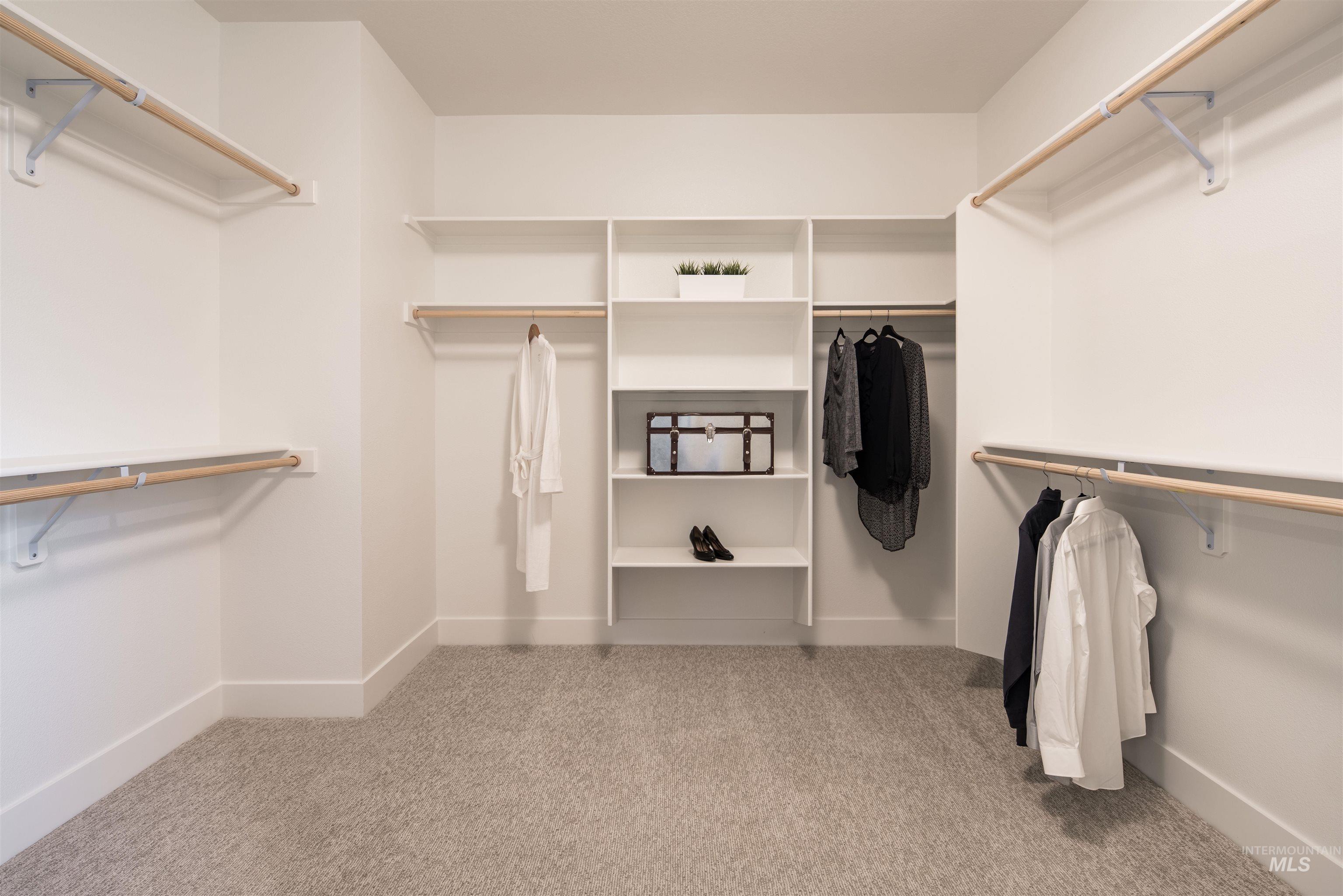 Spacious closet featuring light carpet