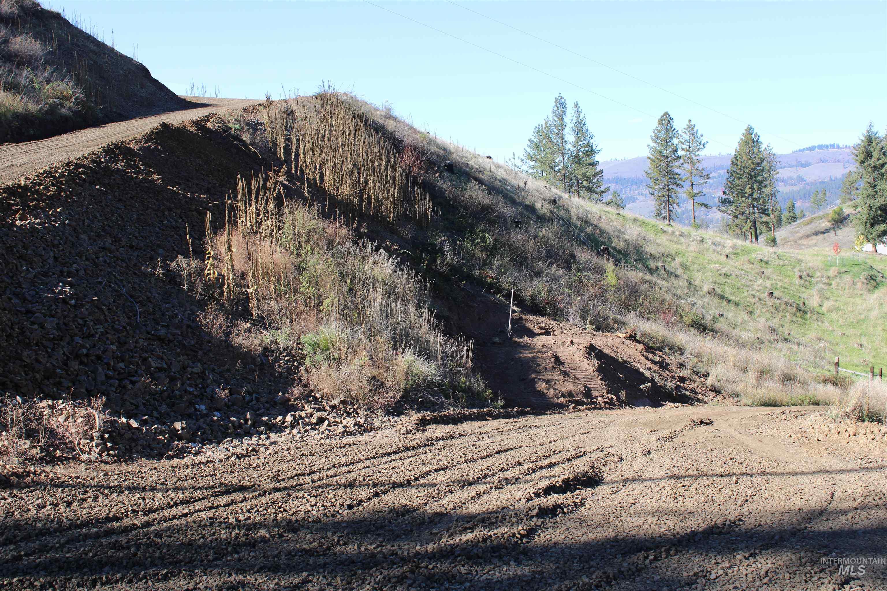 130 Meadow Lane, Kamiah, Idaho 83536, Land For Sale, Price $169,000, 98968759