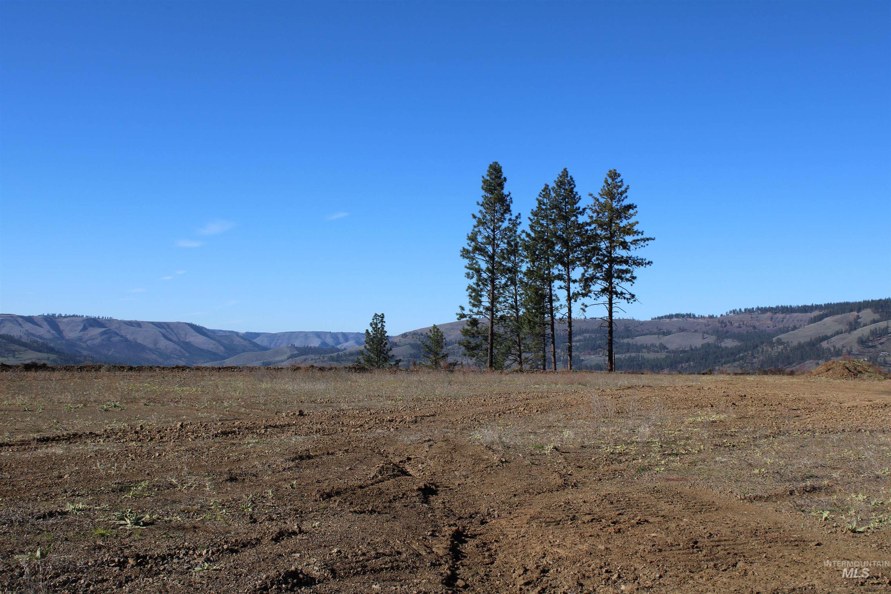 130 Meadow Lane, Kamiah, Idaho 83536, Land For Sale, Price $169,000, 98968759