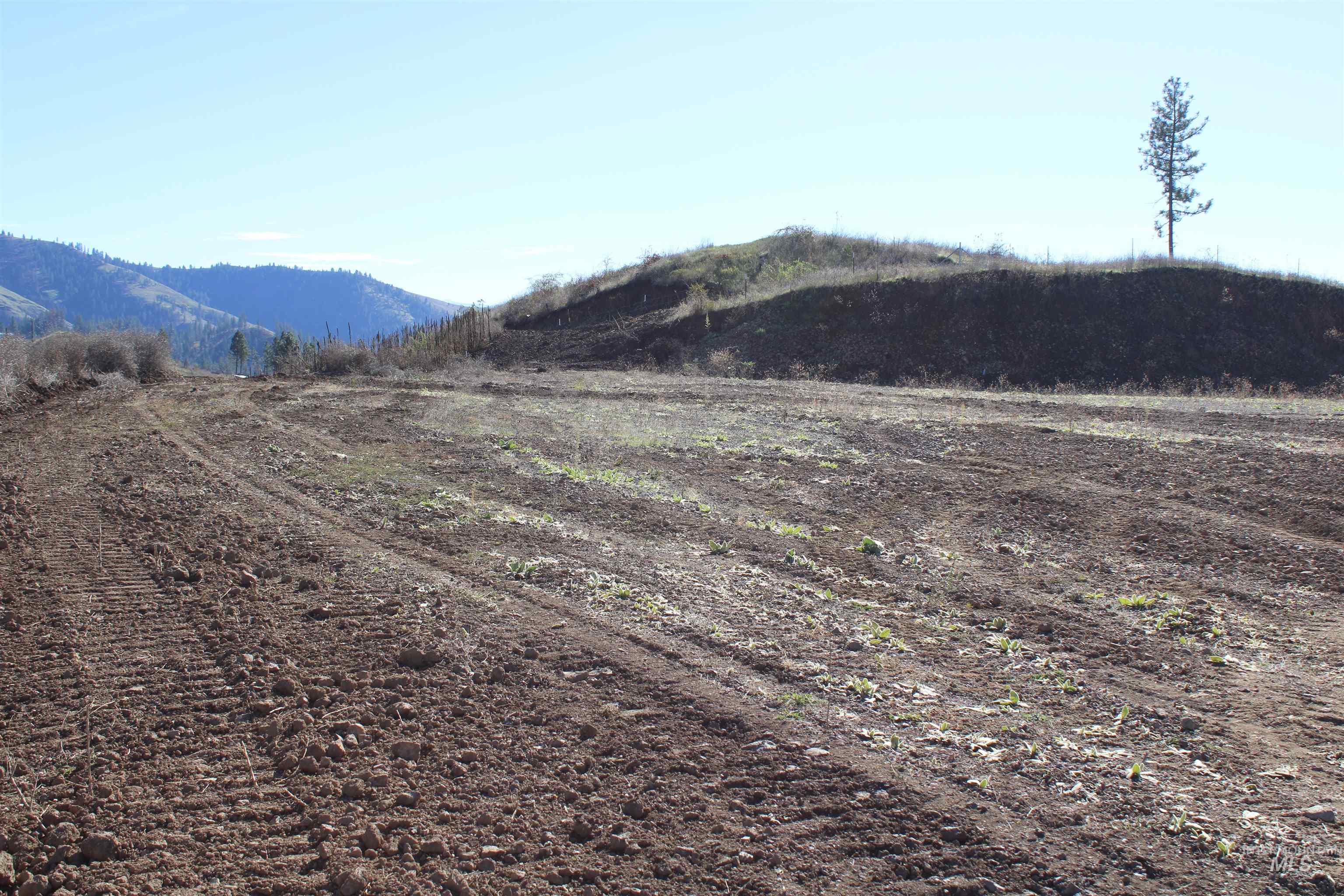 130 Meadow Lane, Kamiah, Idaho 83536, Land For Sale, Price $169,000, 98968759