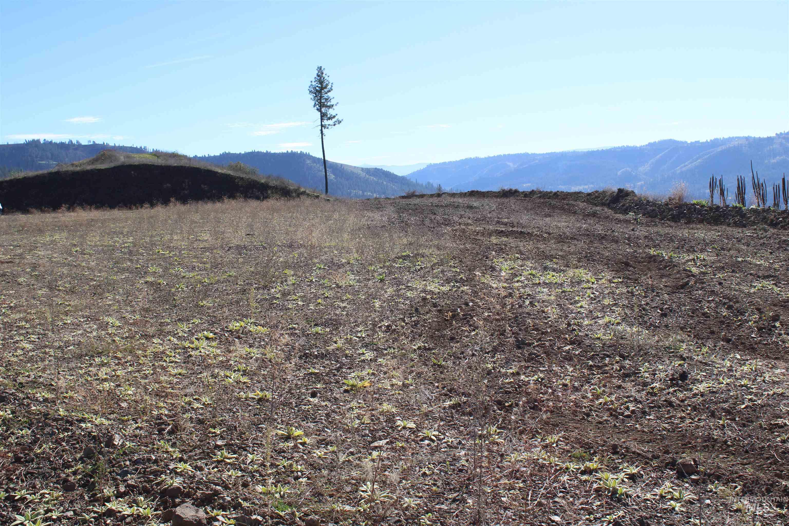 130 Meadow Lane, Kamiah, Idaho 83536, Land For Sale, Price $169,000, 98968759