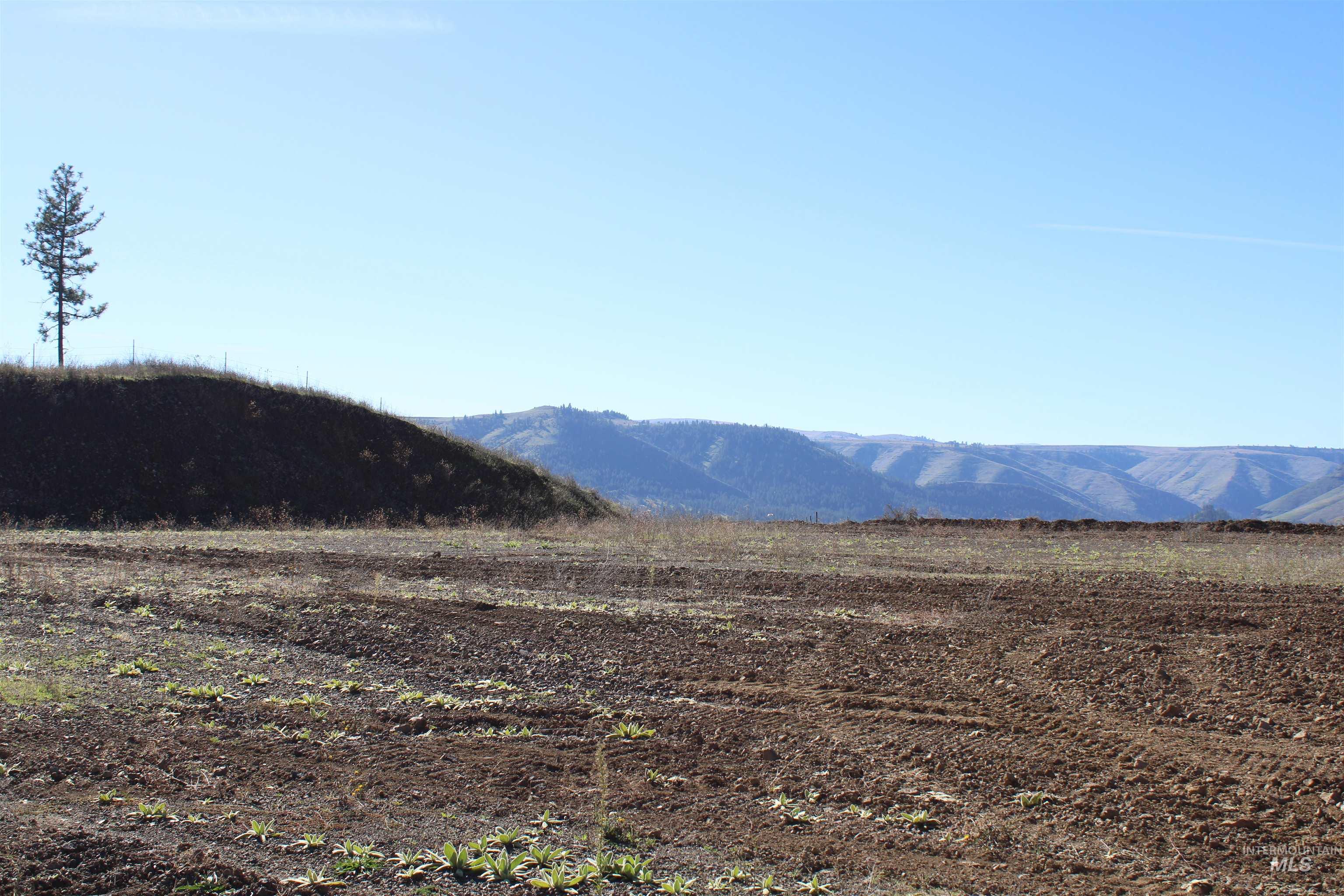 130 Meadow Lane, Kamiah, Idaho 83536, Land For Sale, Price $169,000, 98968759