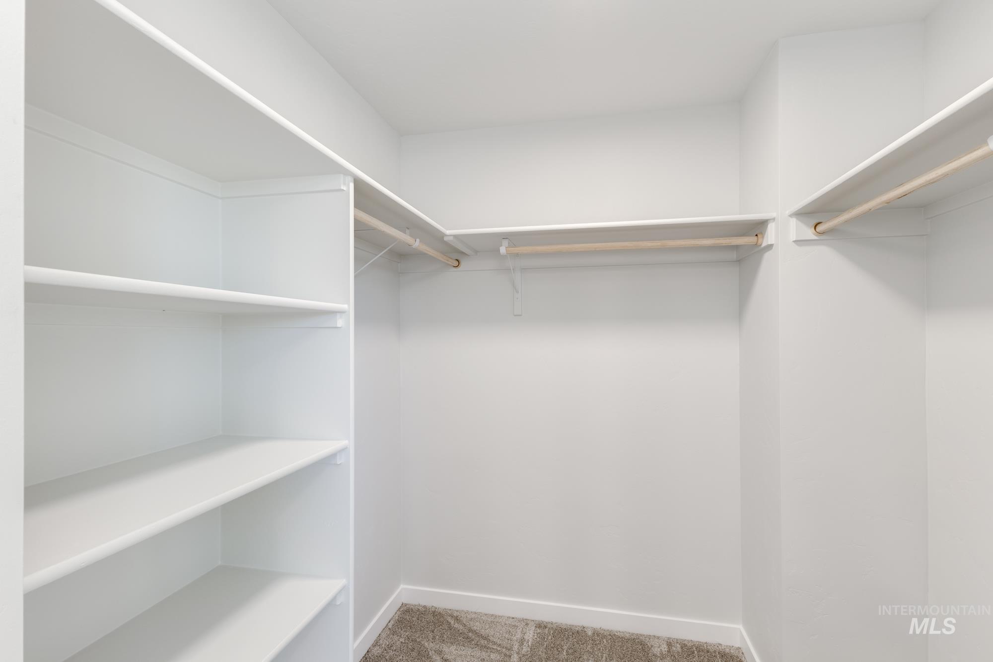 Walk in closet with light carpet