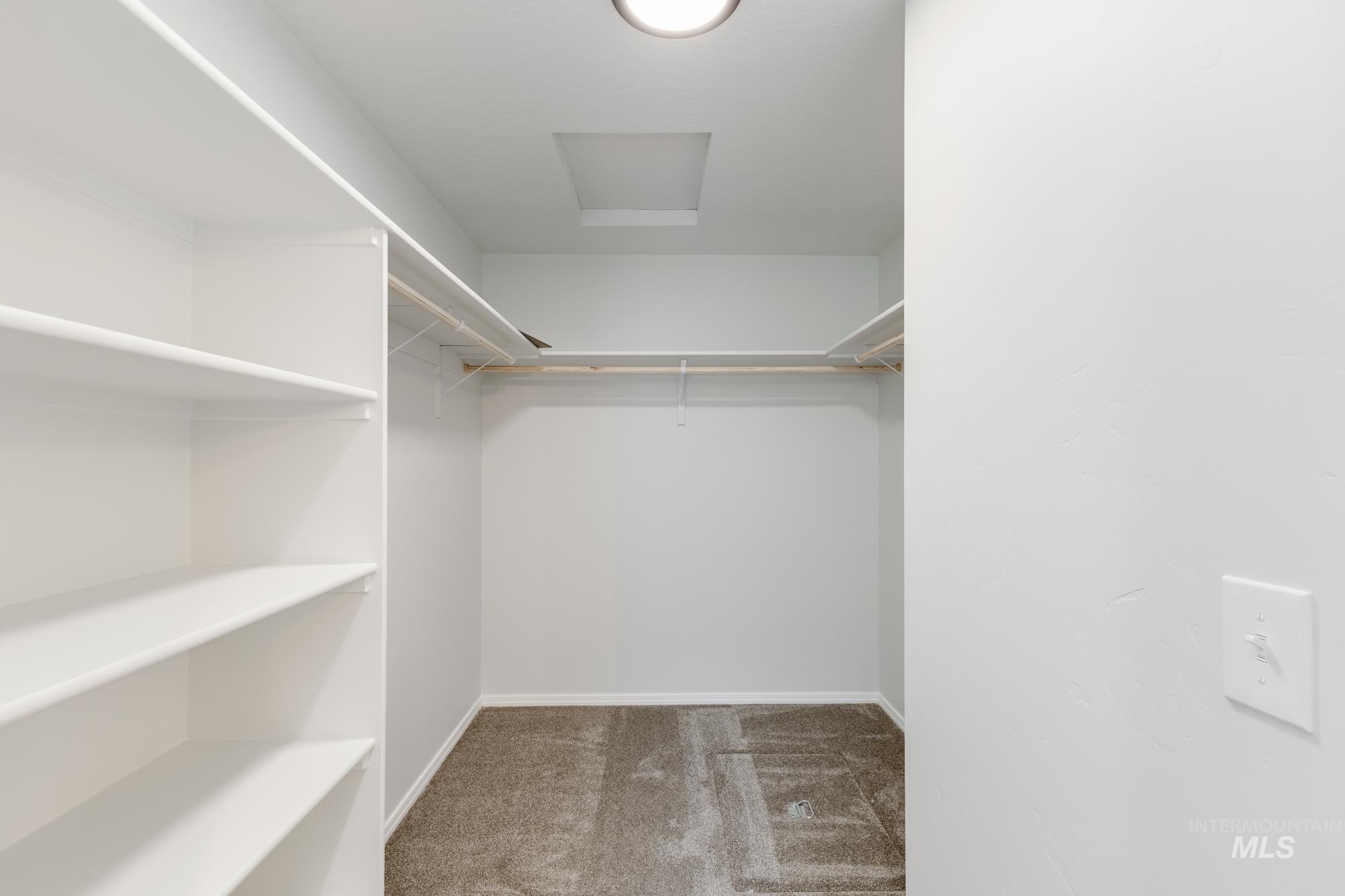 Spacious closet with light carpet