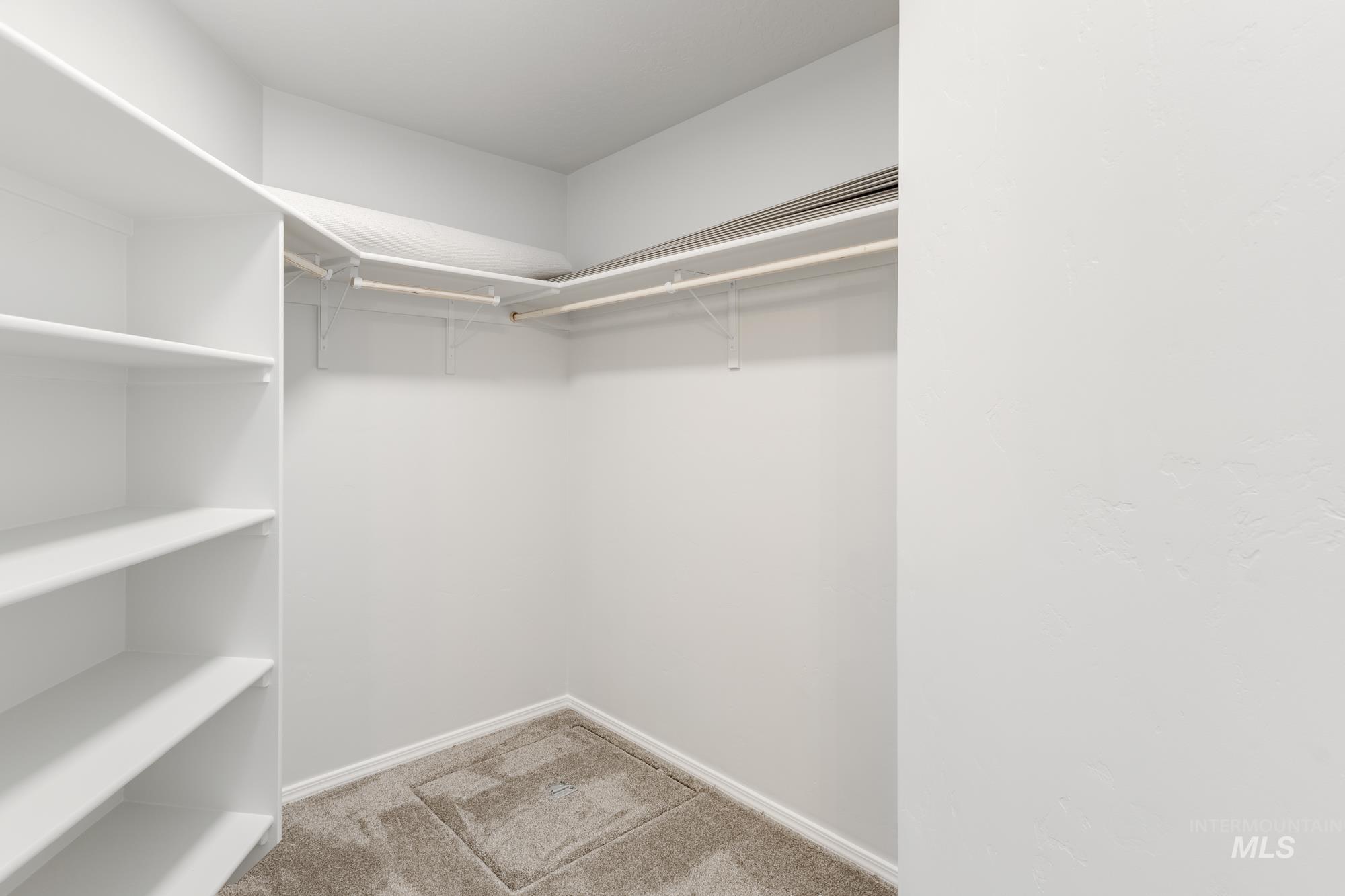 Spacious closet with light carpet