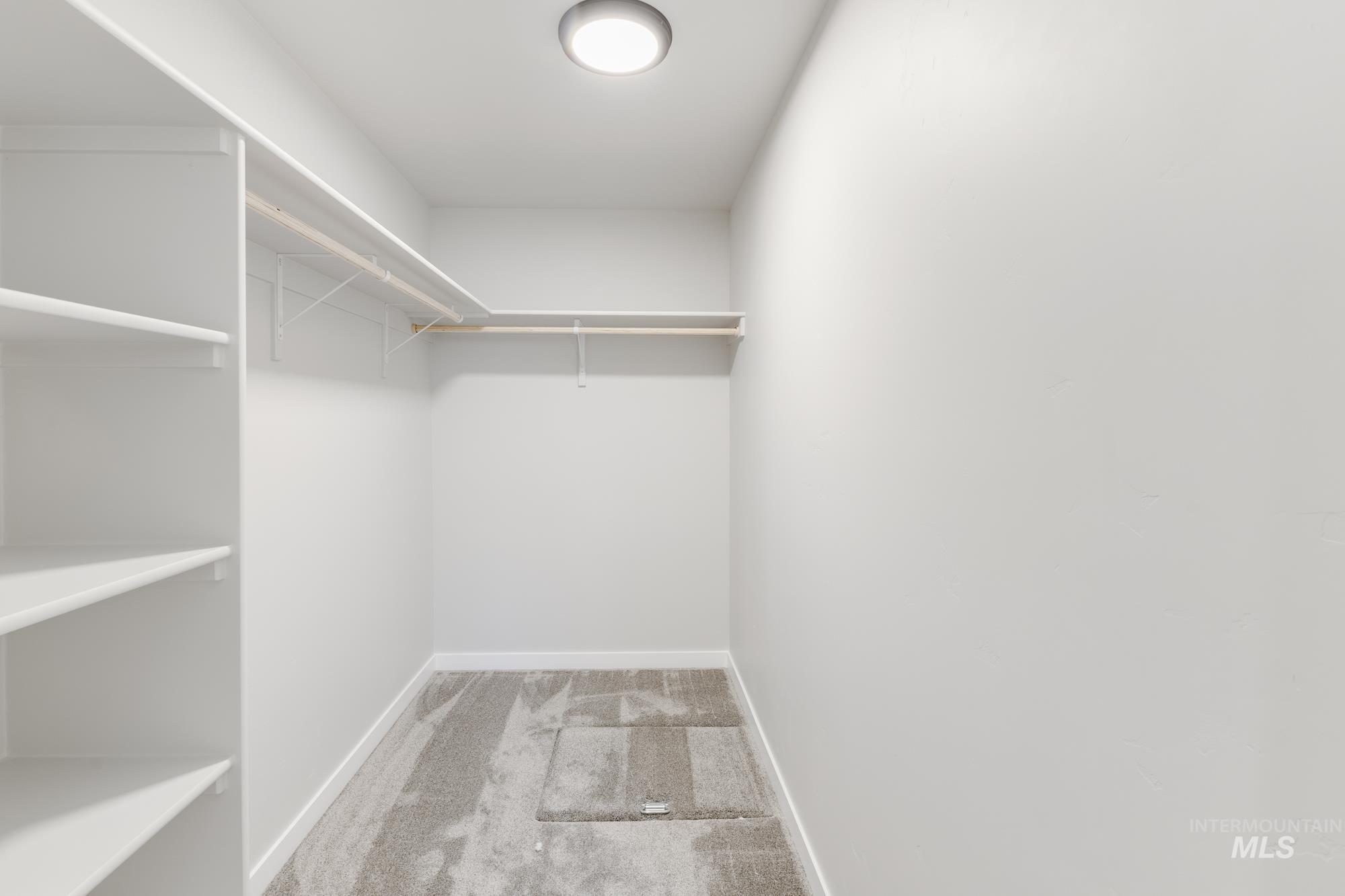 Spacious closet featuring light carpet
