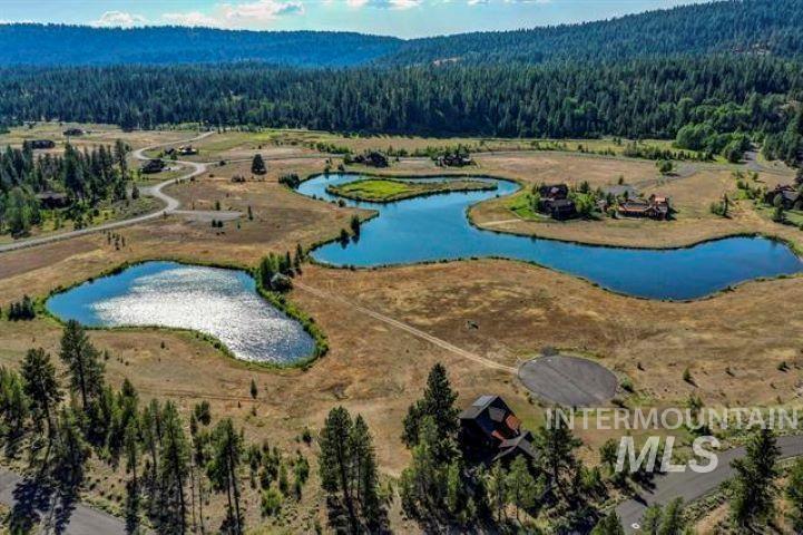 Drone / aerial view of a forest and a nearby body of water