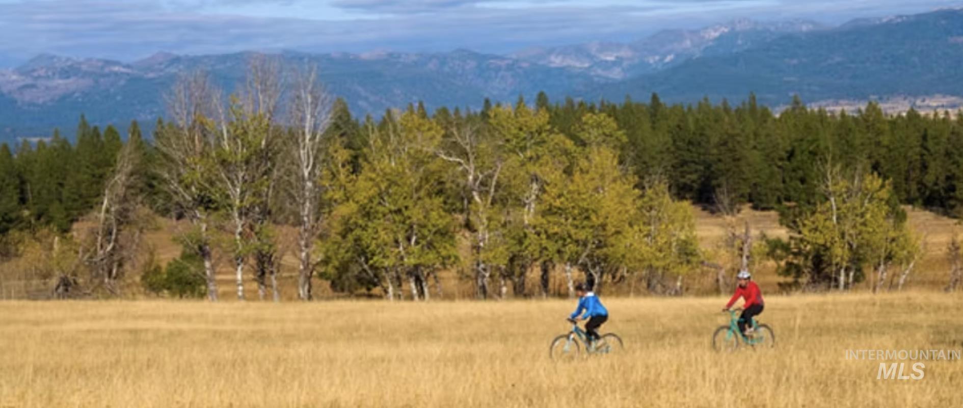View of mountain background