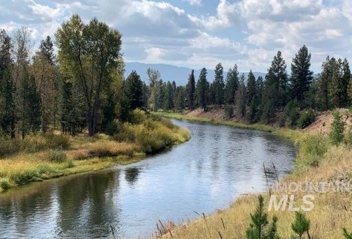 Water view with a forest