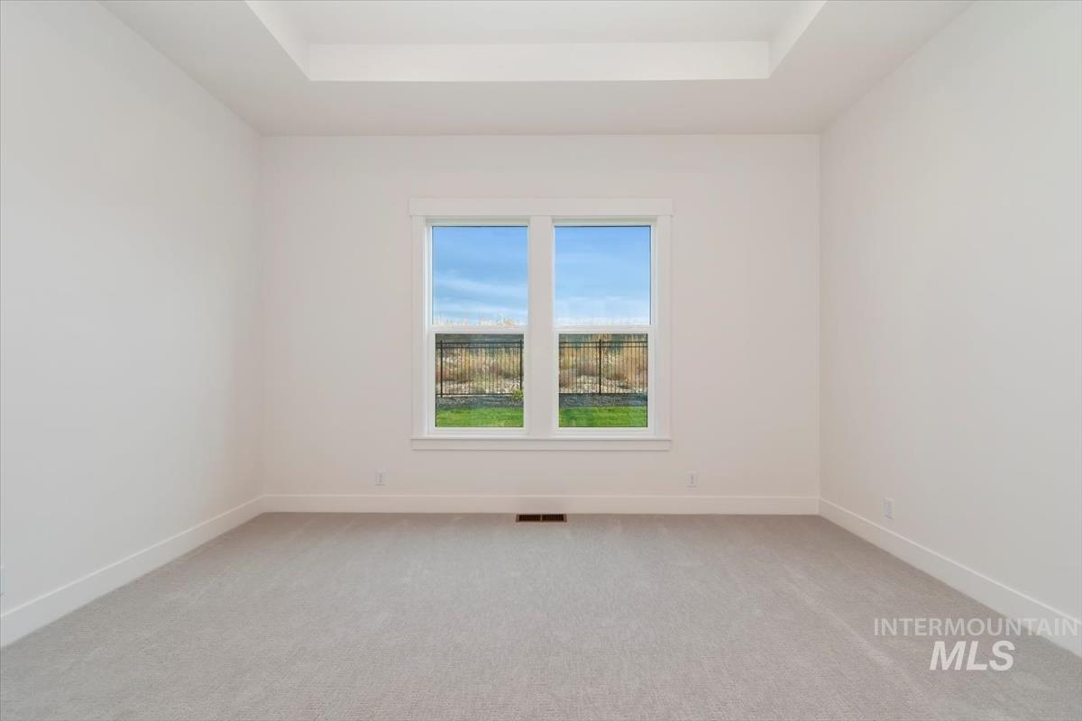 Spare room with light carpet and a tray ceiling
